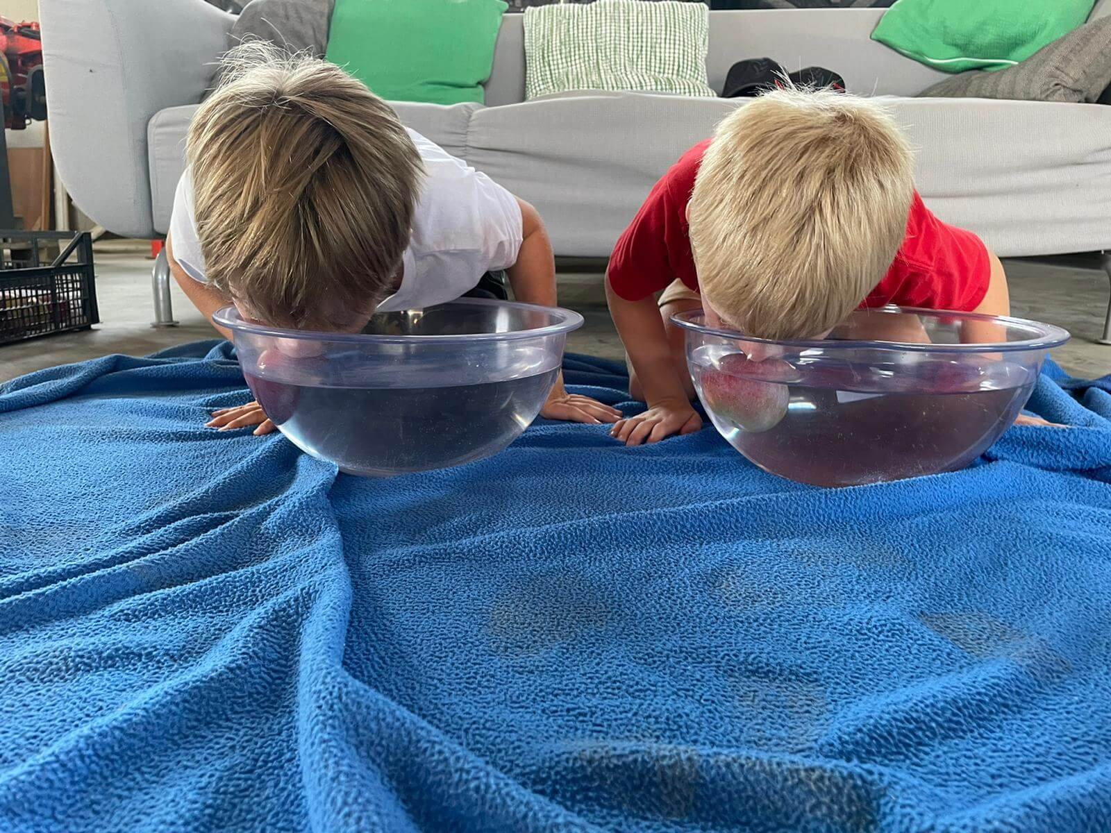 Gabriela Ofner-BD01D392-FA93-41B5-BB52-F0EAB9B42B0F.jpeg