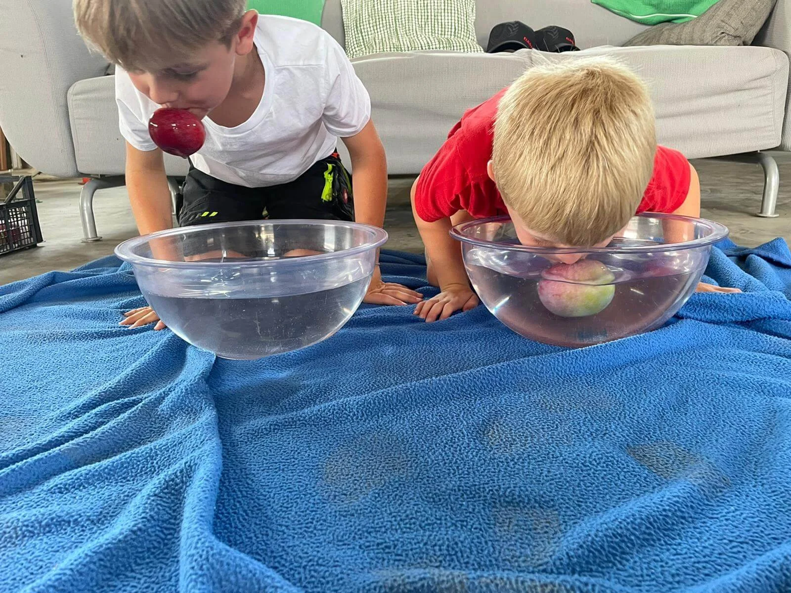 Gabriela Ofner-D51F323F-10E4-4792-8147-2CB3FEF0D4F1.jpeg