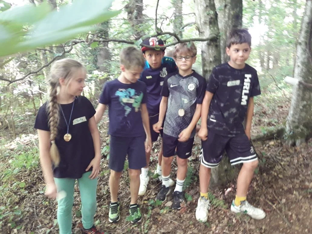 Geheimnisse-Wald-04.jpg
