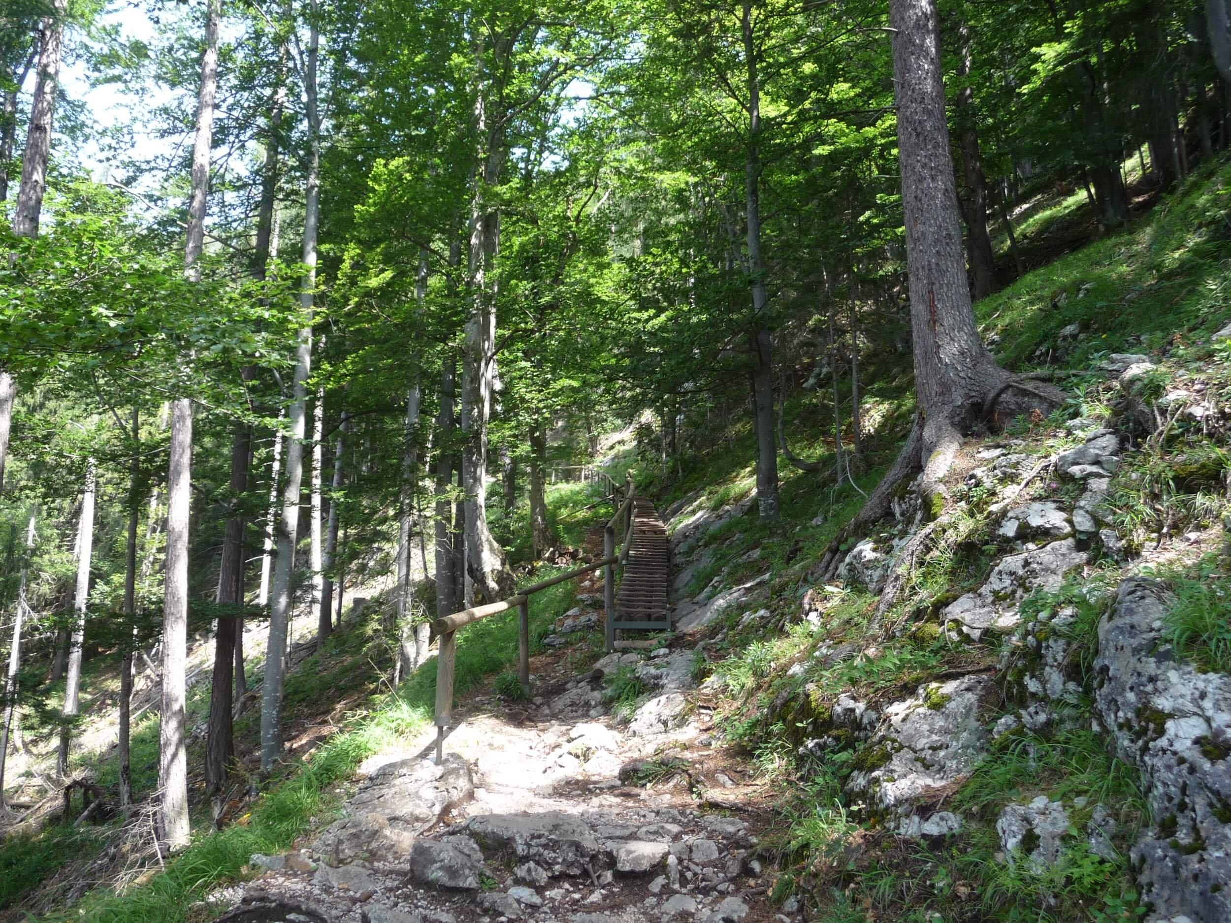 Ewald Koch - Baerenschuetzklamm 45.JPG