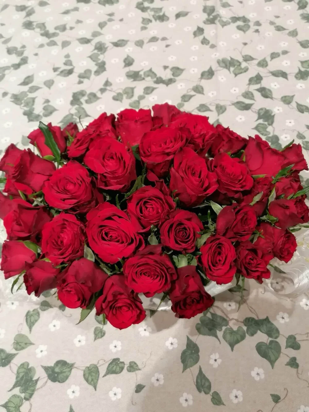 JPEG image-4B6C-902D-B9-0.jpeg