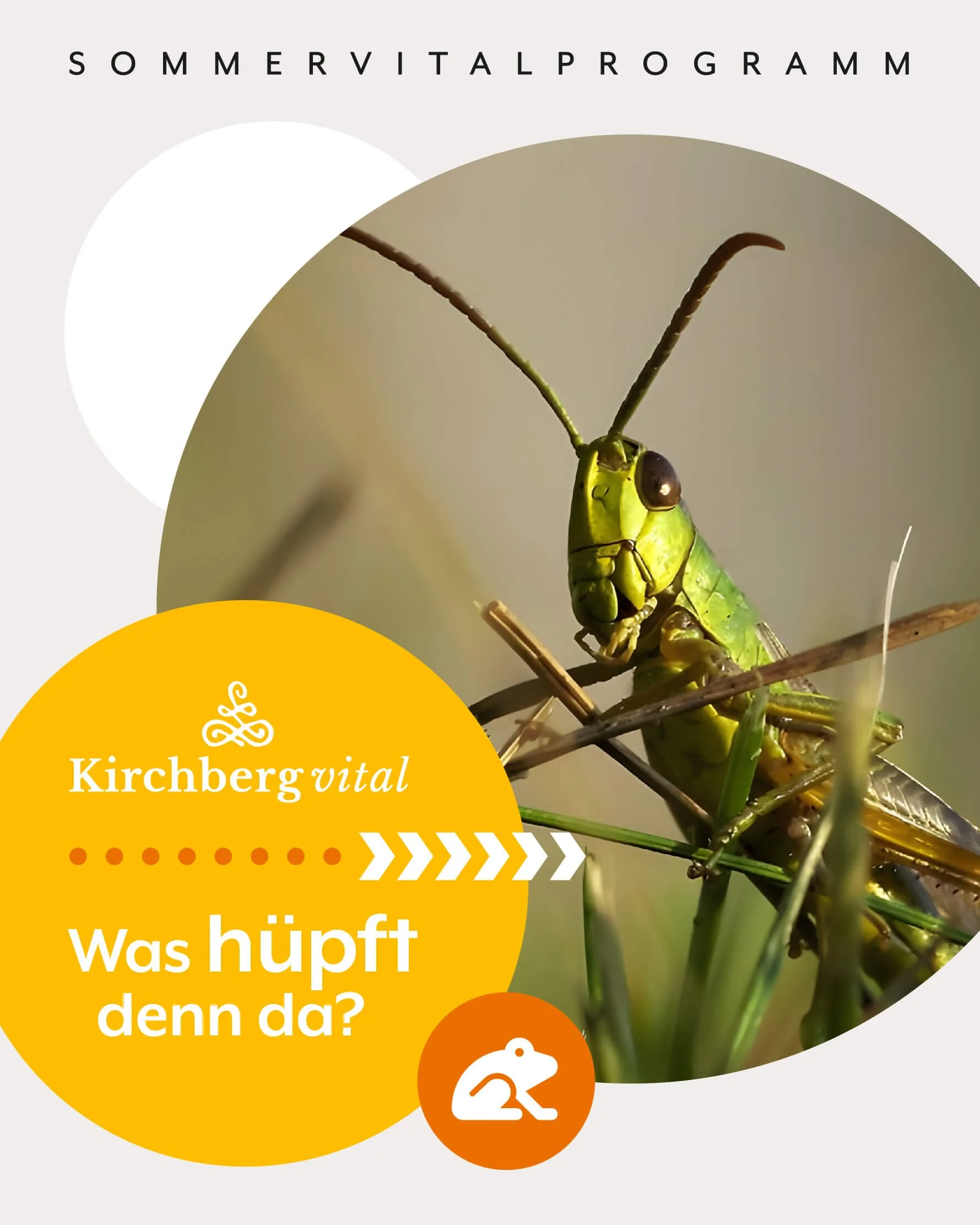 Natur-Detektive: Was hüpft denn da?