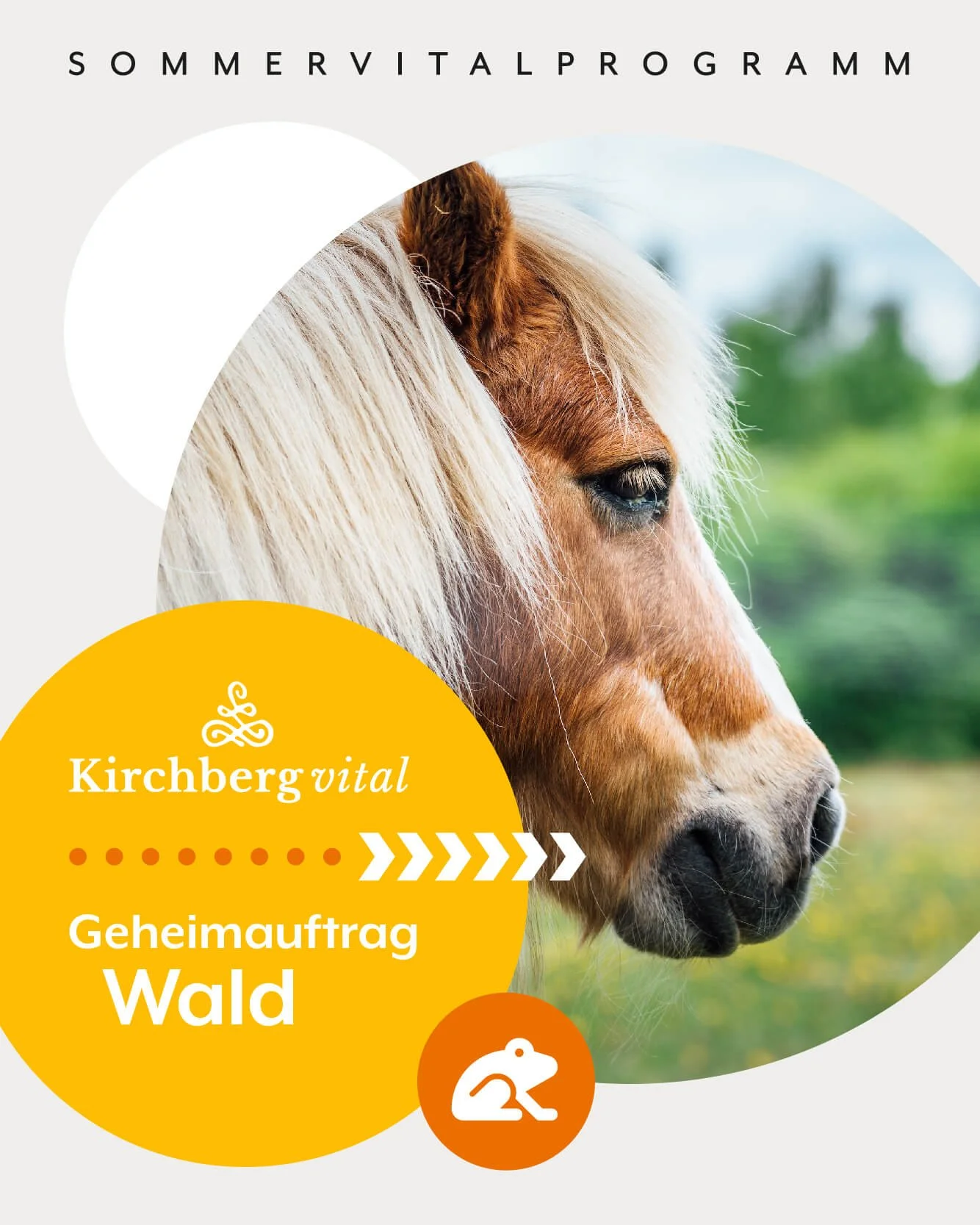 Geheimauftrag Wald - mit Pony-Spürnasen unterwegs!