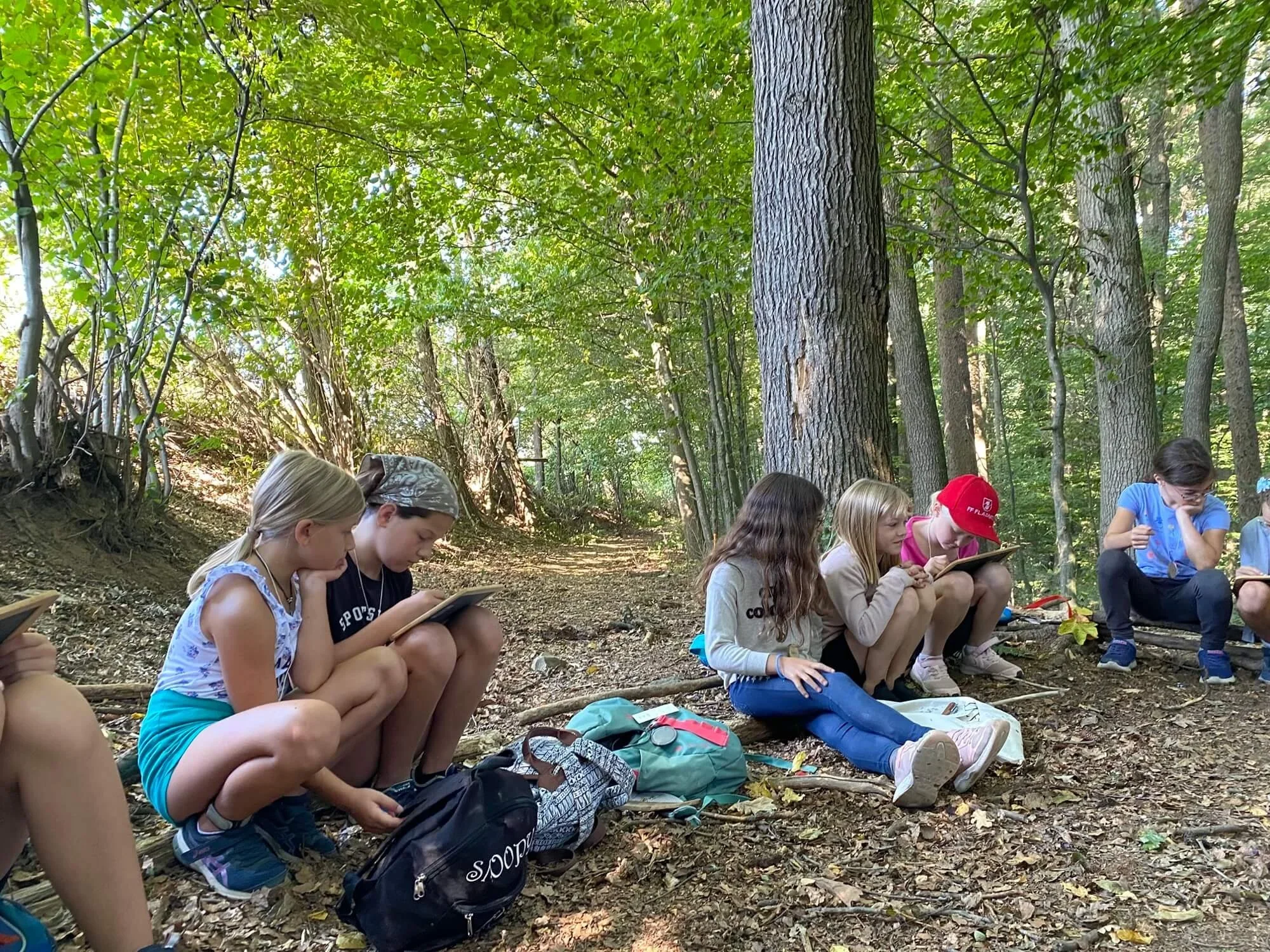 Auf Entdeckungsreise im Langwald