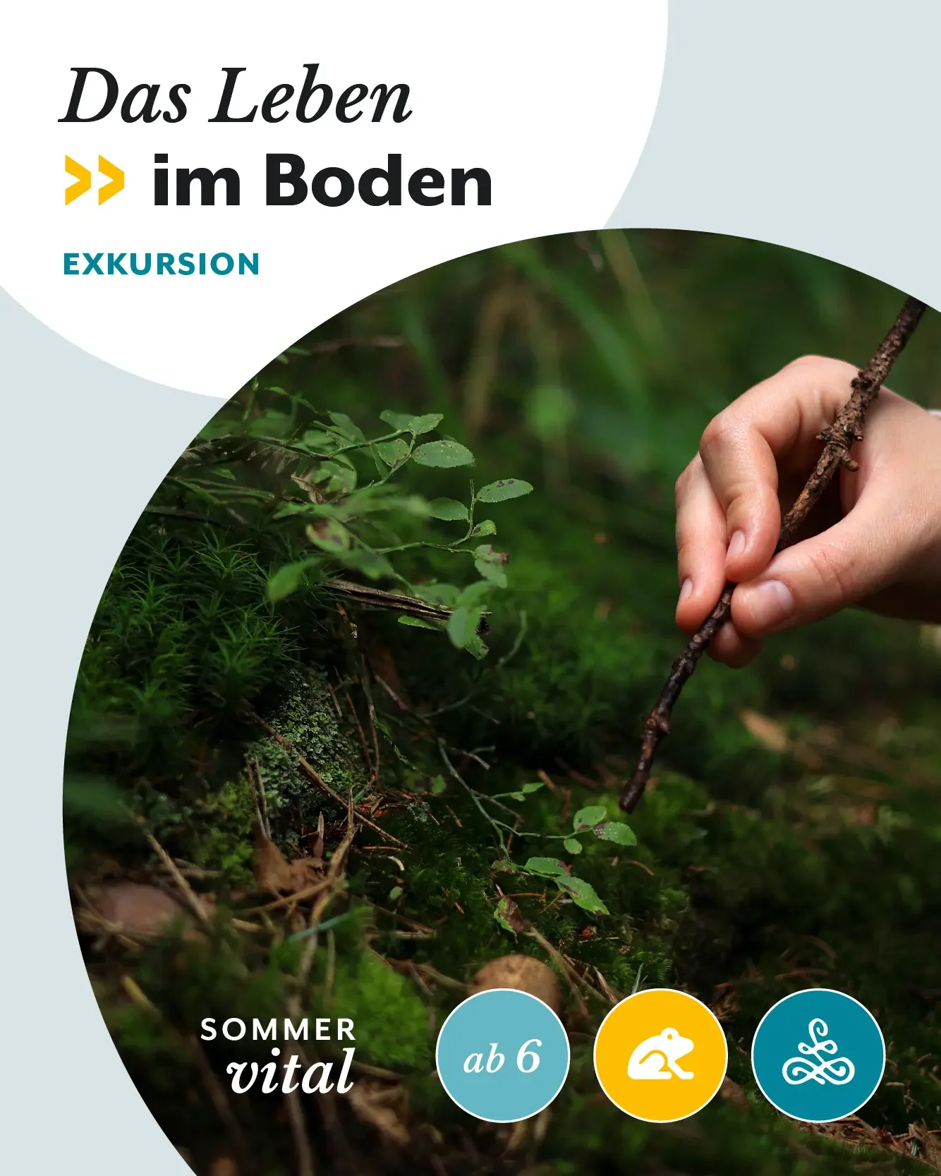 Das Leben im Boden