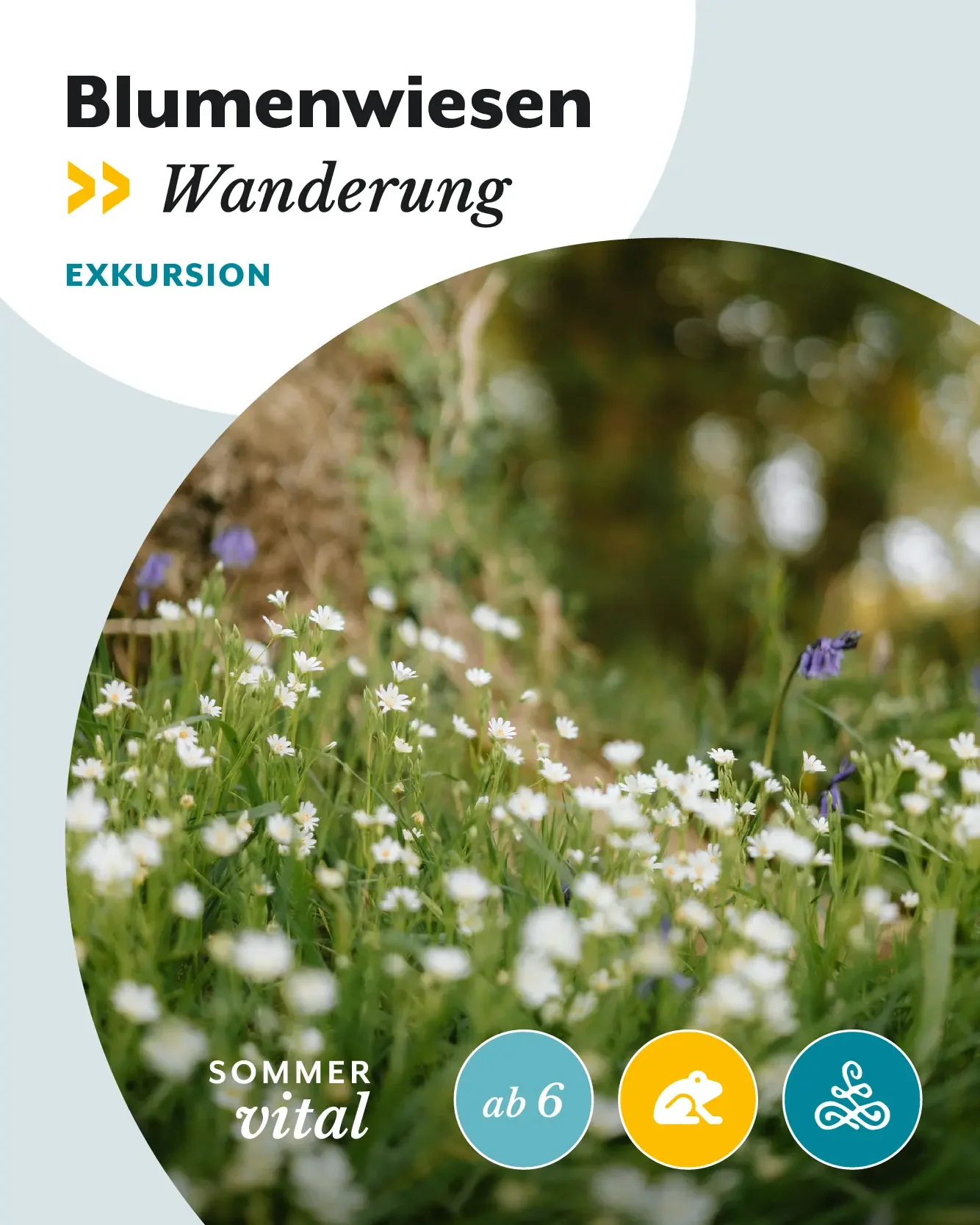 Blumenwiesenwanderung