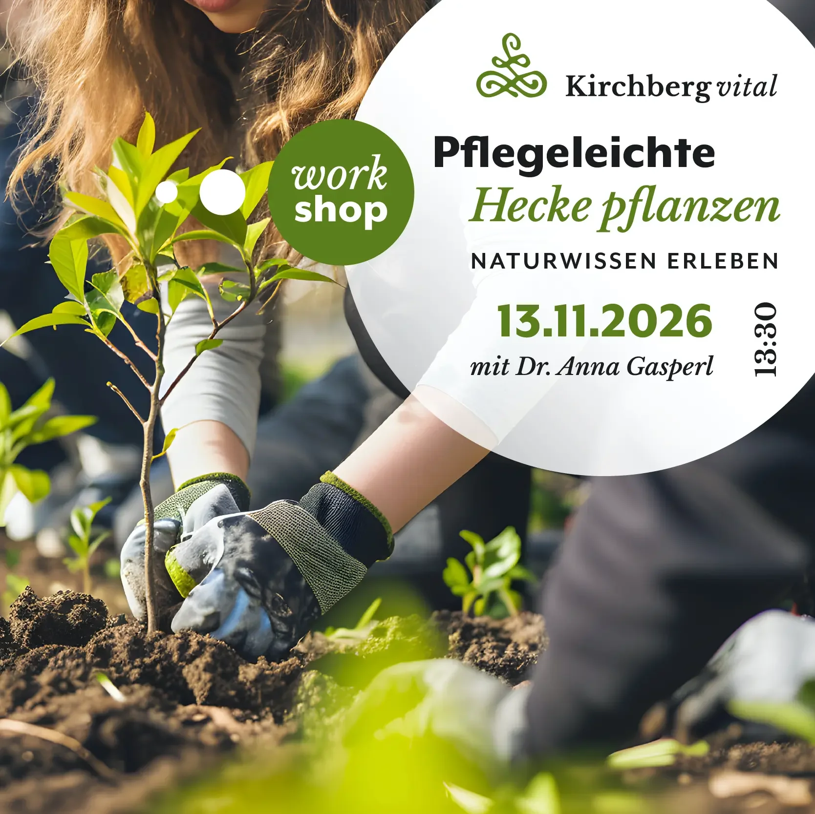 Pflegeleichte Hecke pflanzen