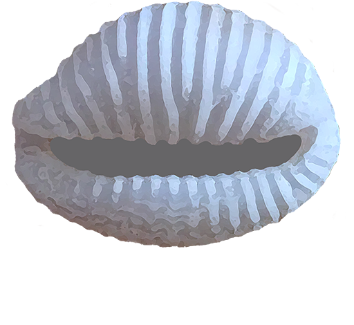 NUMBER 16