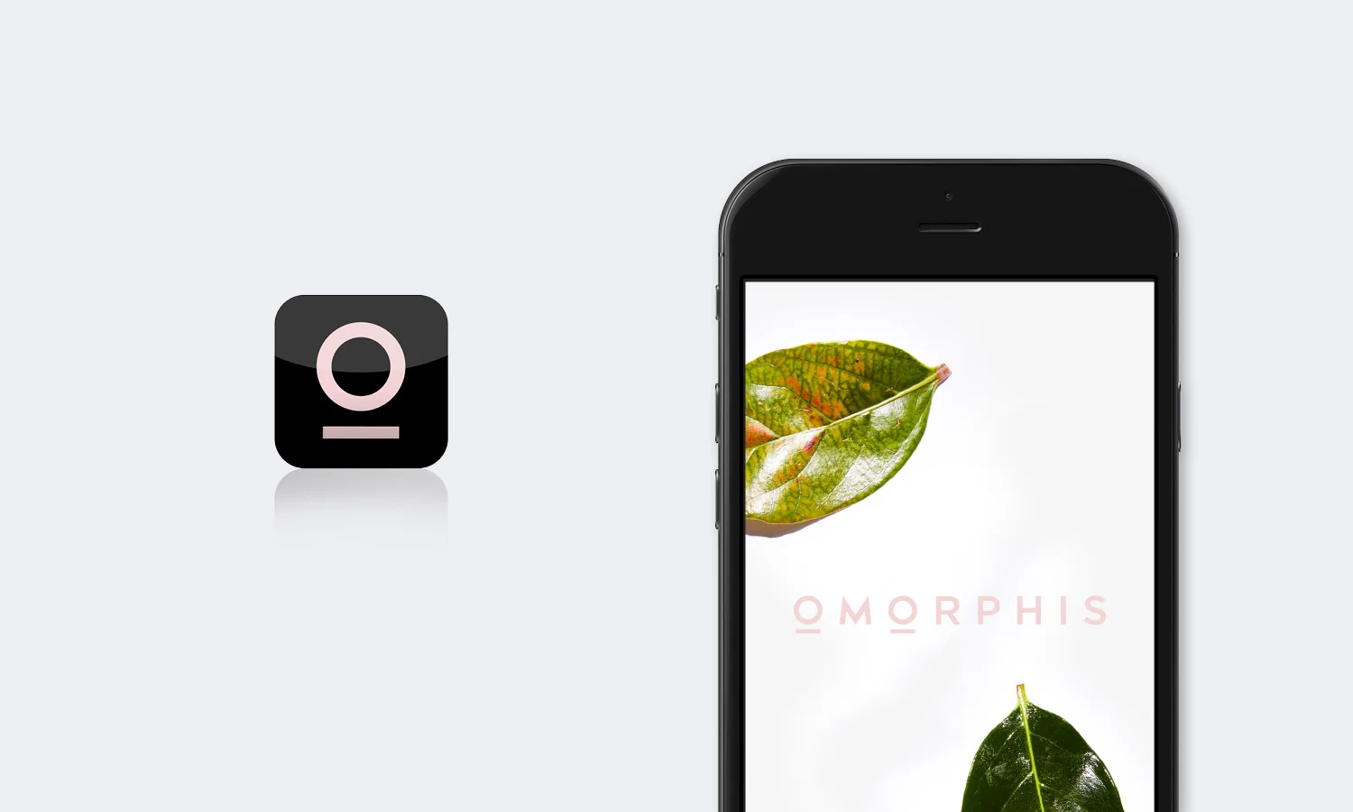 Omorphis_Case-Study_10.jpg