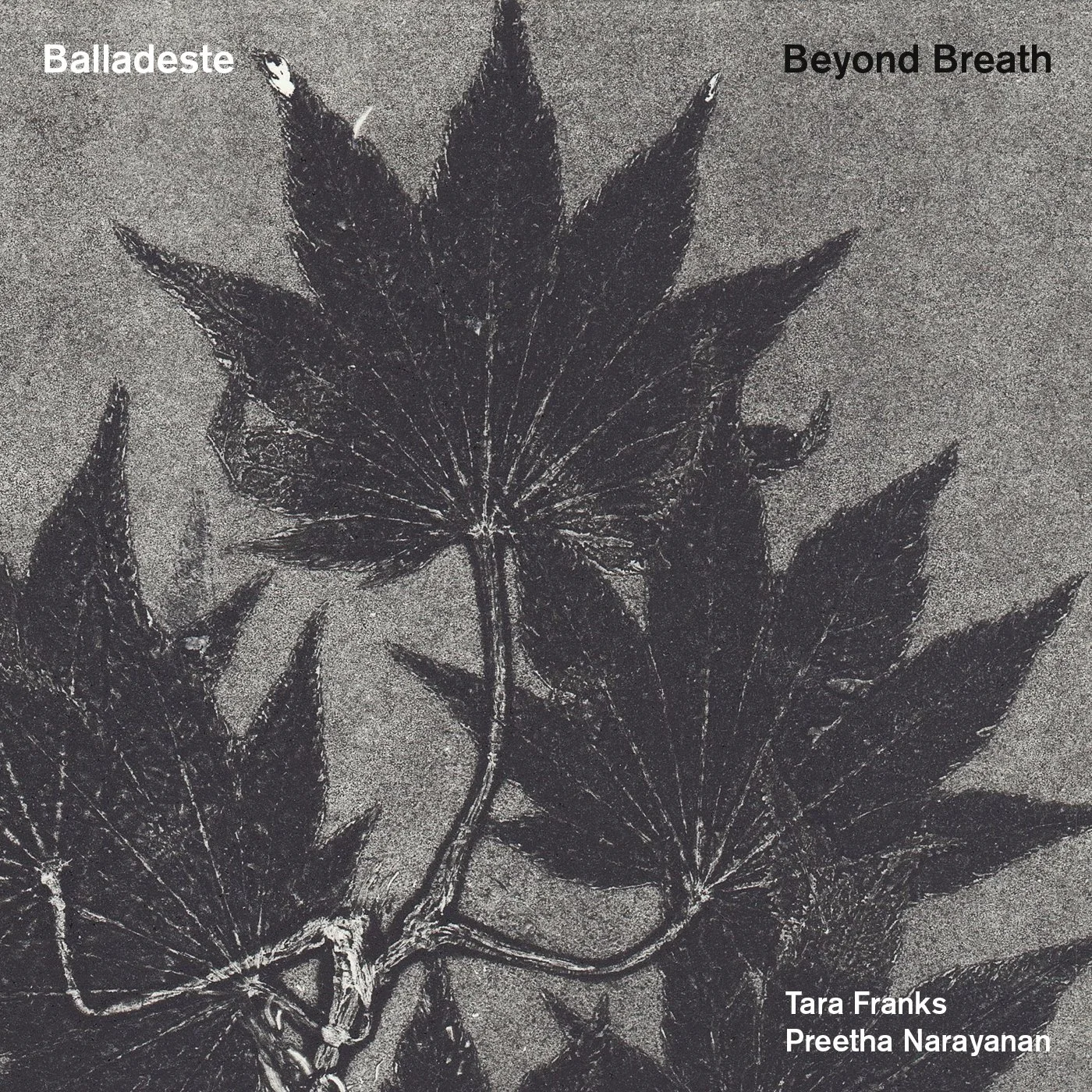 Beyond Breath 1400x1400_spotify (1).jpg