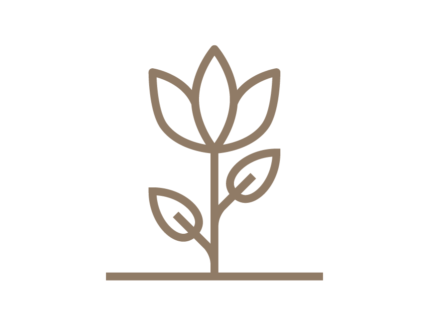 respect icons brown_-.png