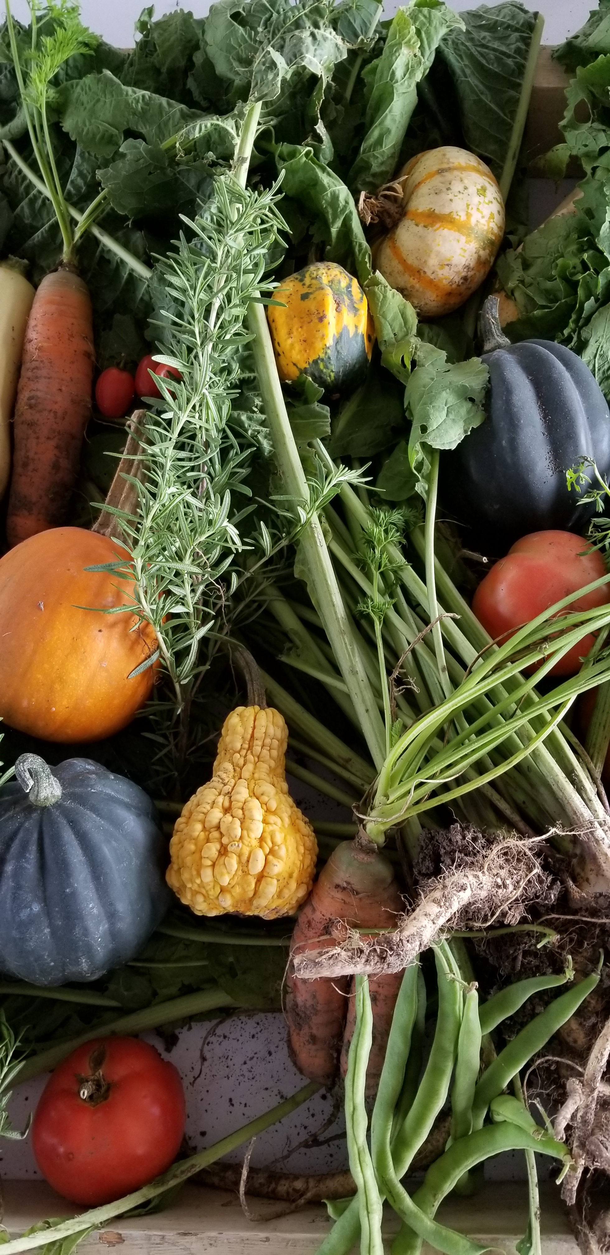 Celebrating Ontario Agriculture 