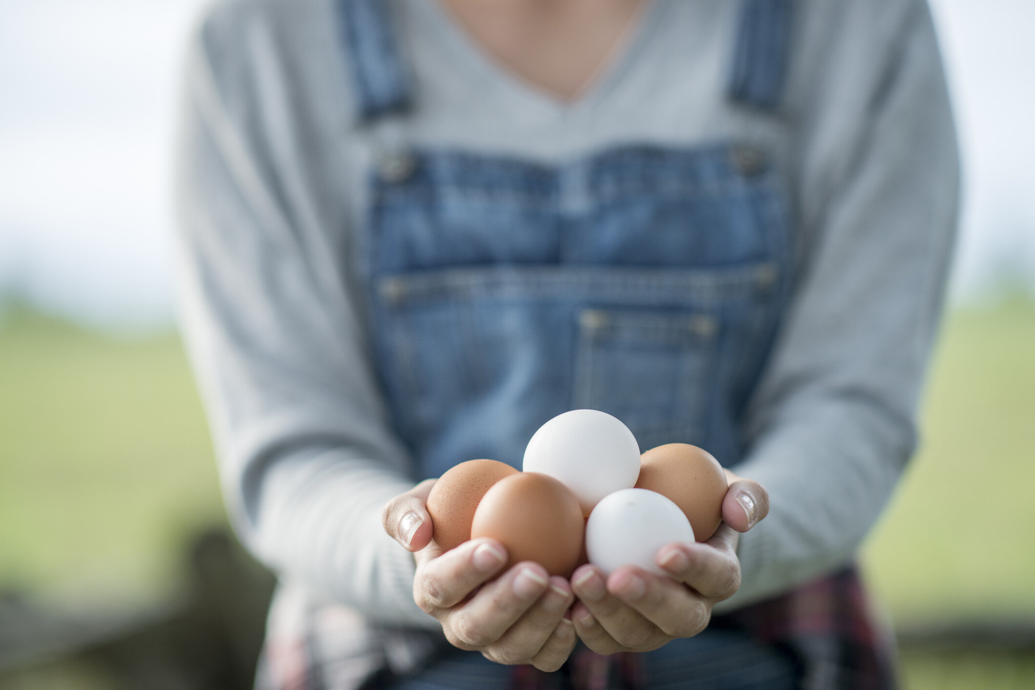 Ontario egg farmers donating over 100,000 eggs to food banks.