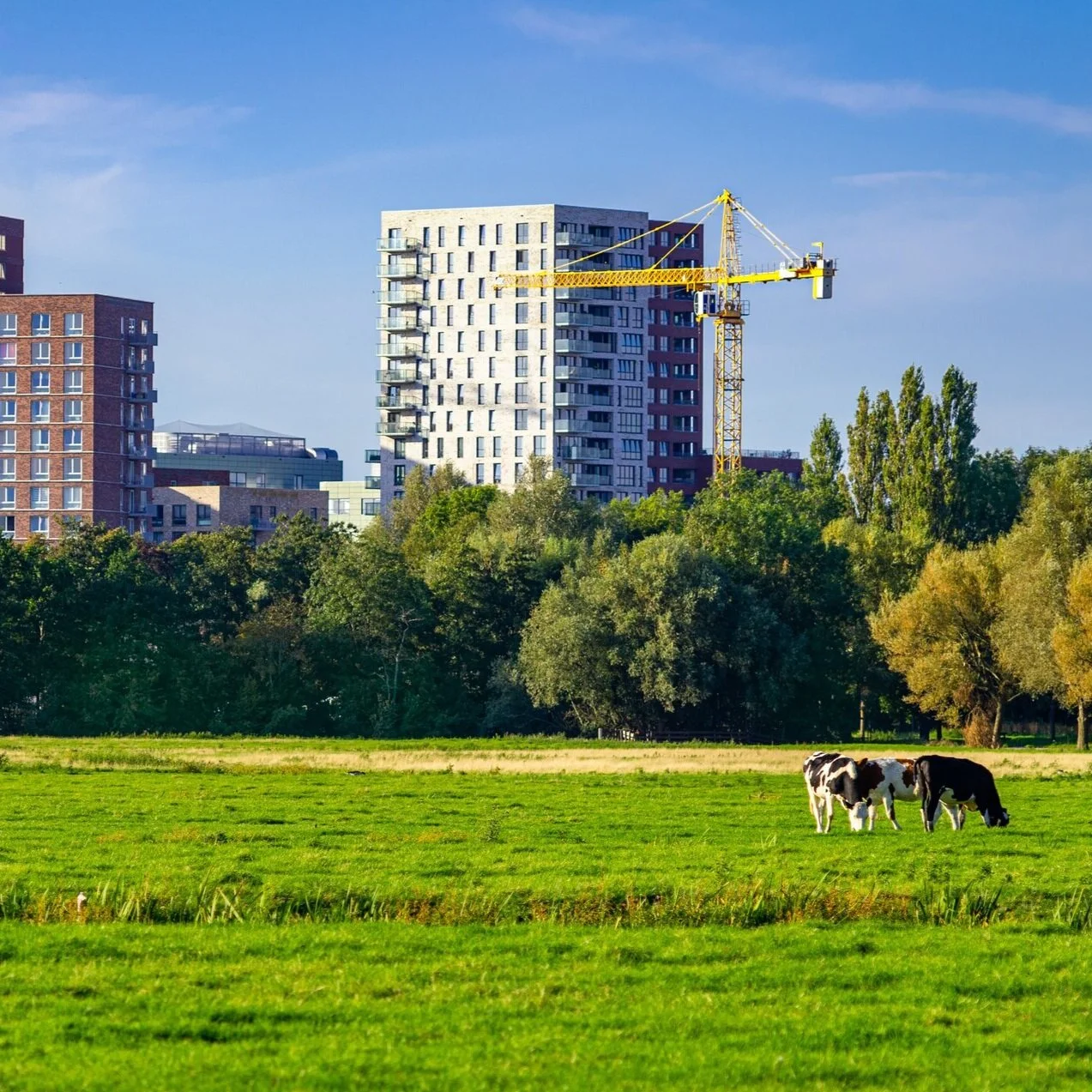 The Road to 2051: Agriculture in the White Belt