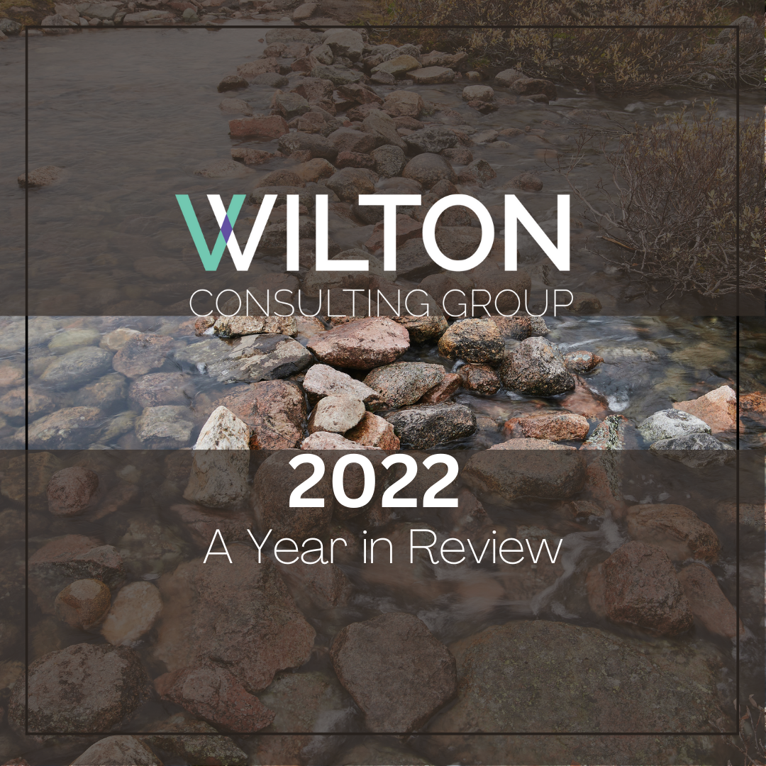 2022 Year in Review: Wilton Consulting Group