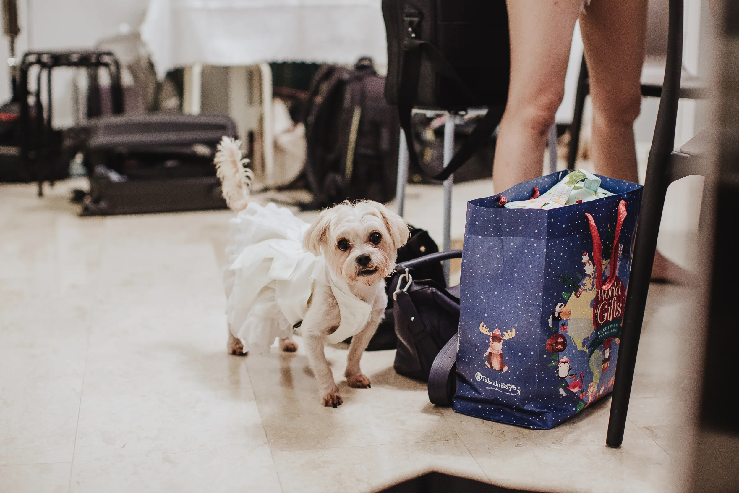 Singapore+Actual+Day+Wedding+Photographer+Raffles+Town+Club+Jeremiah+Christina-0001.jpg