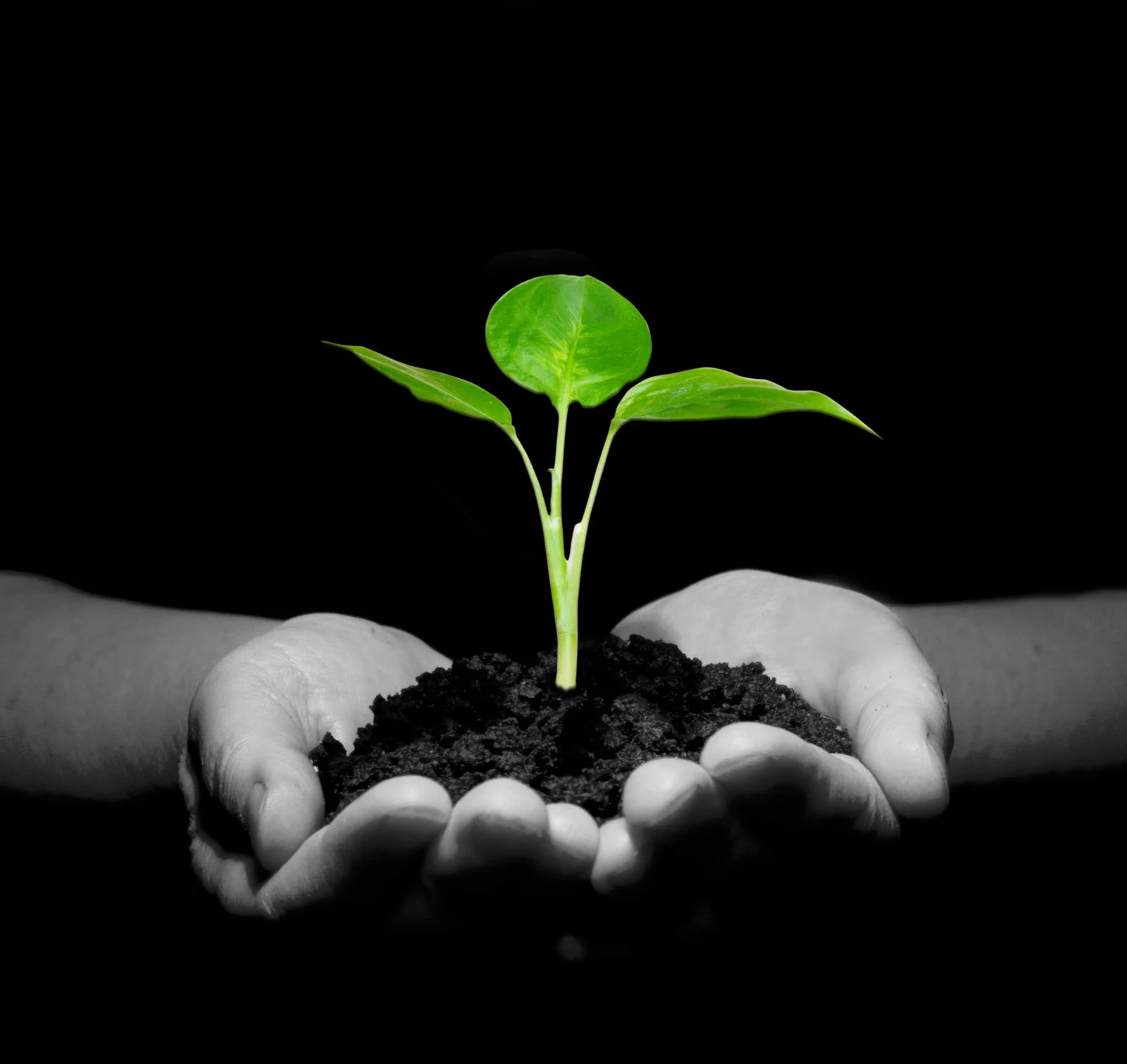 CIPP Is an environmentally friendly technology.