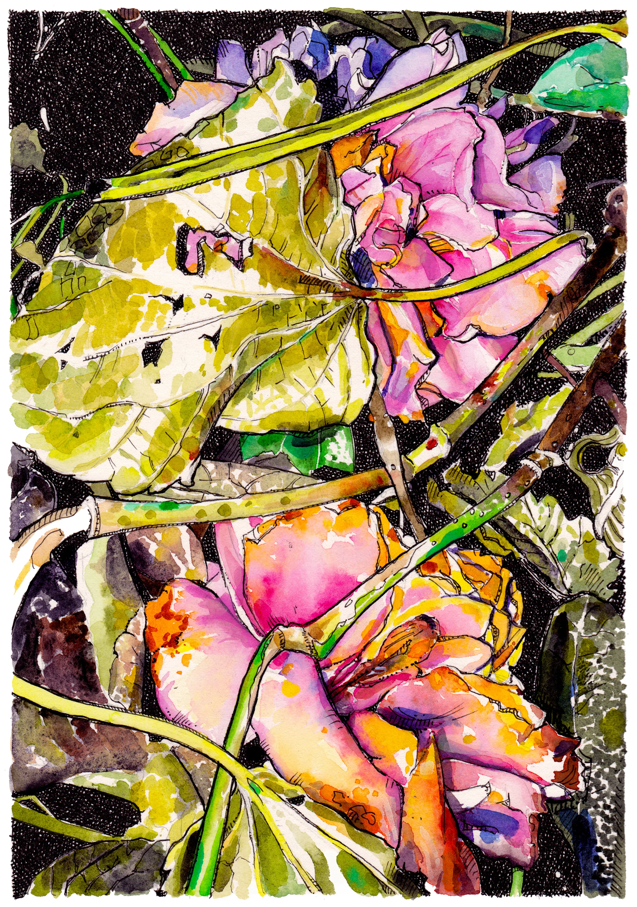 GILDED WILT, 2017 Pen + ink, watercolor, and acryylic on paper 12 x 9 inches inquire about purchase shop g reeting cards