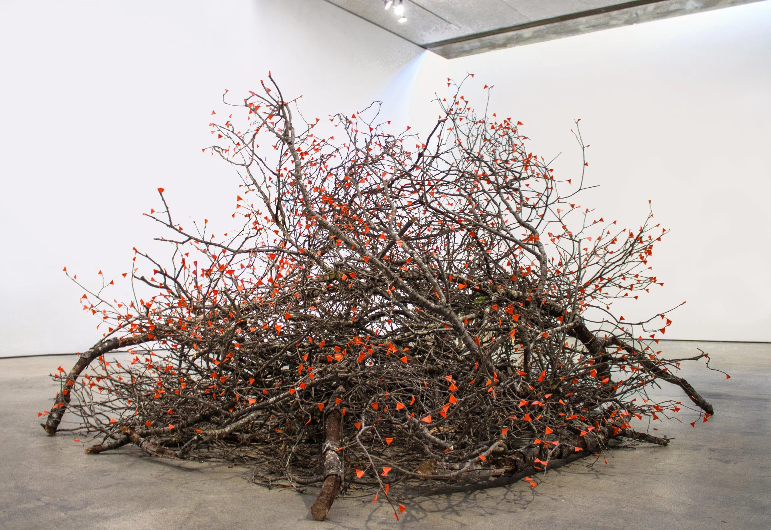    Burn Pile,   2022 Oak branches, electrical tape  90 x 90 x 72 inches    learn more &gt;     