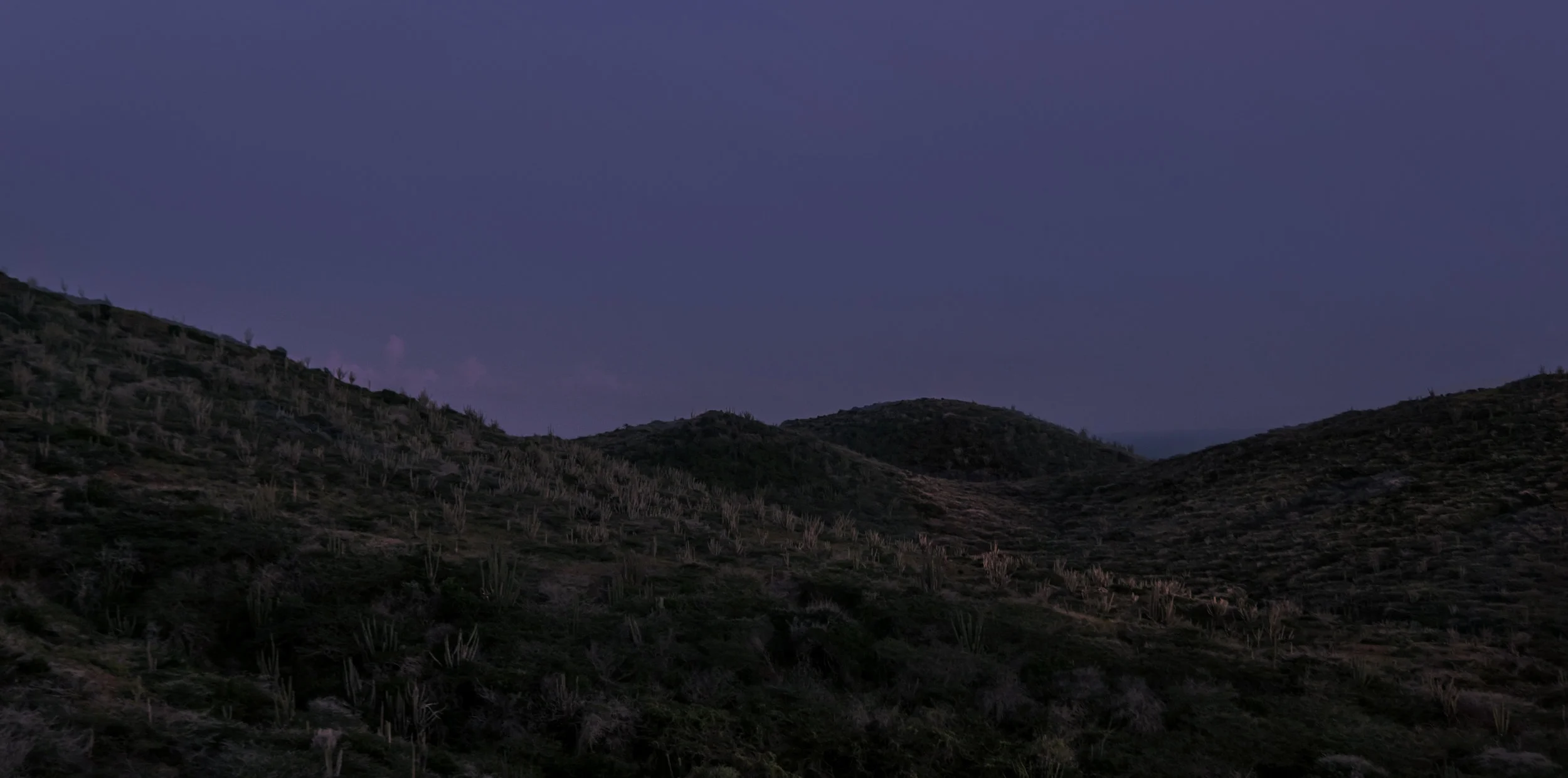 DSC01634-2.jpg