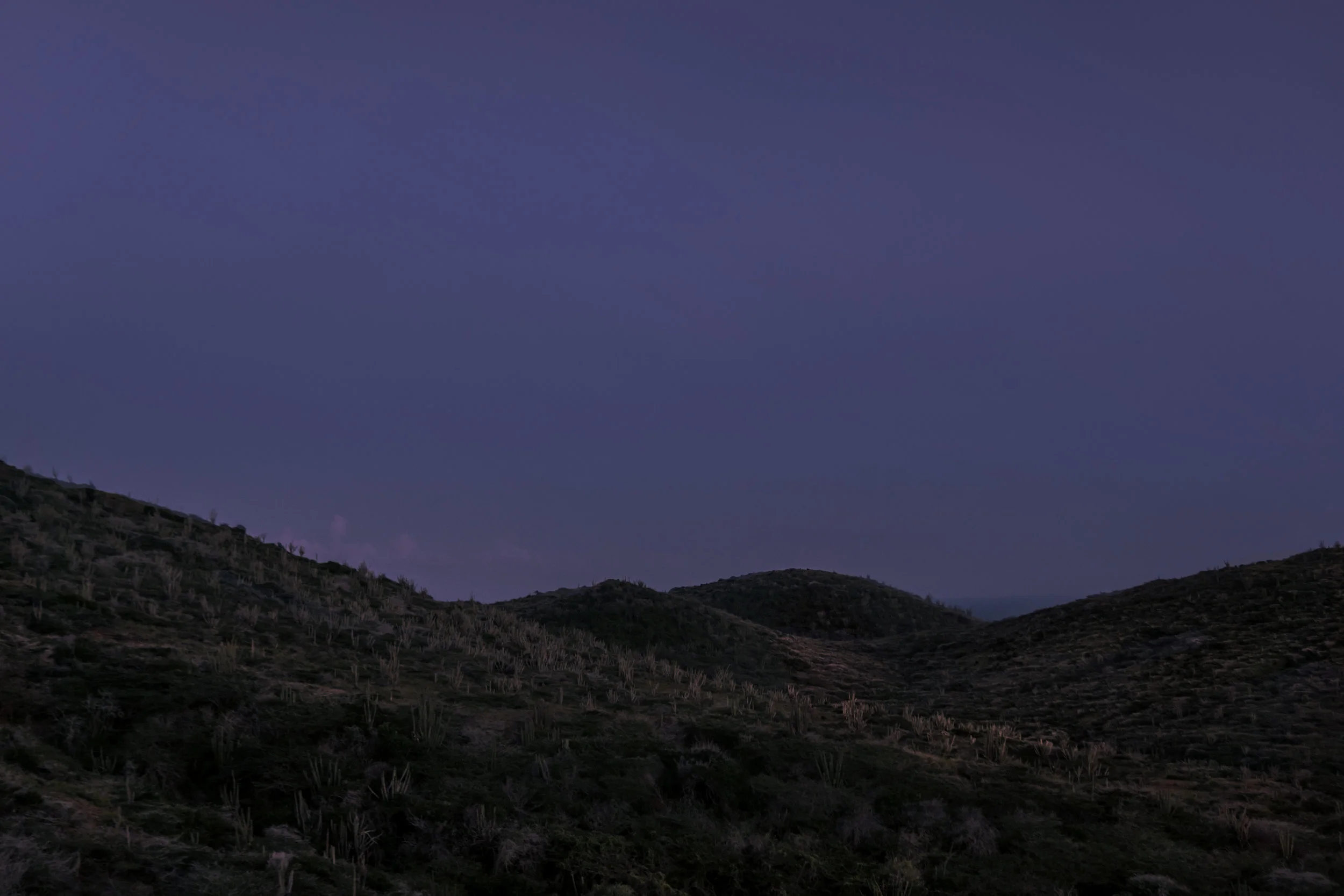 DSC01634-2.jpg