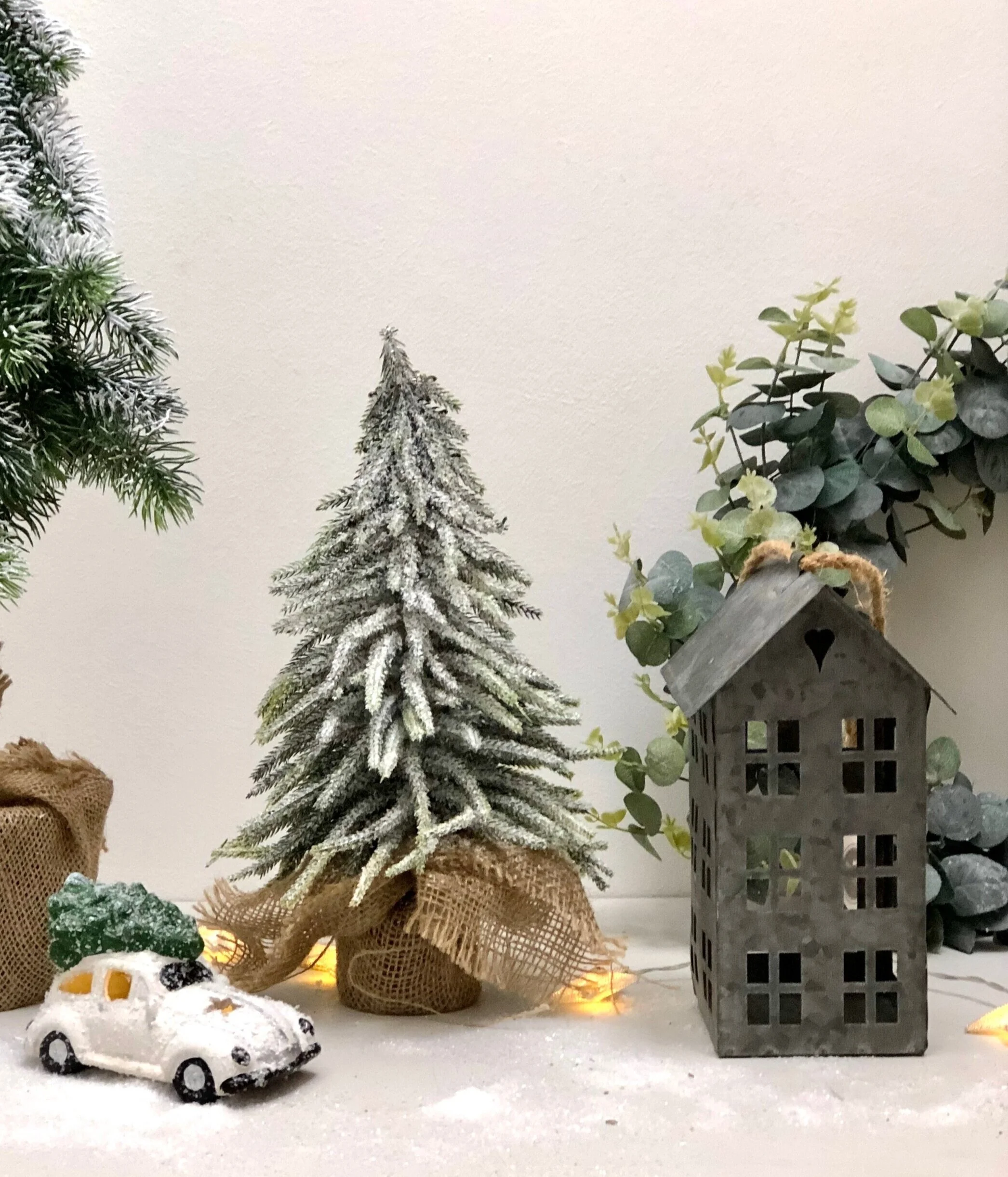 tree+small.jpg