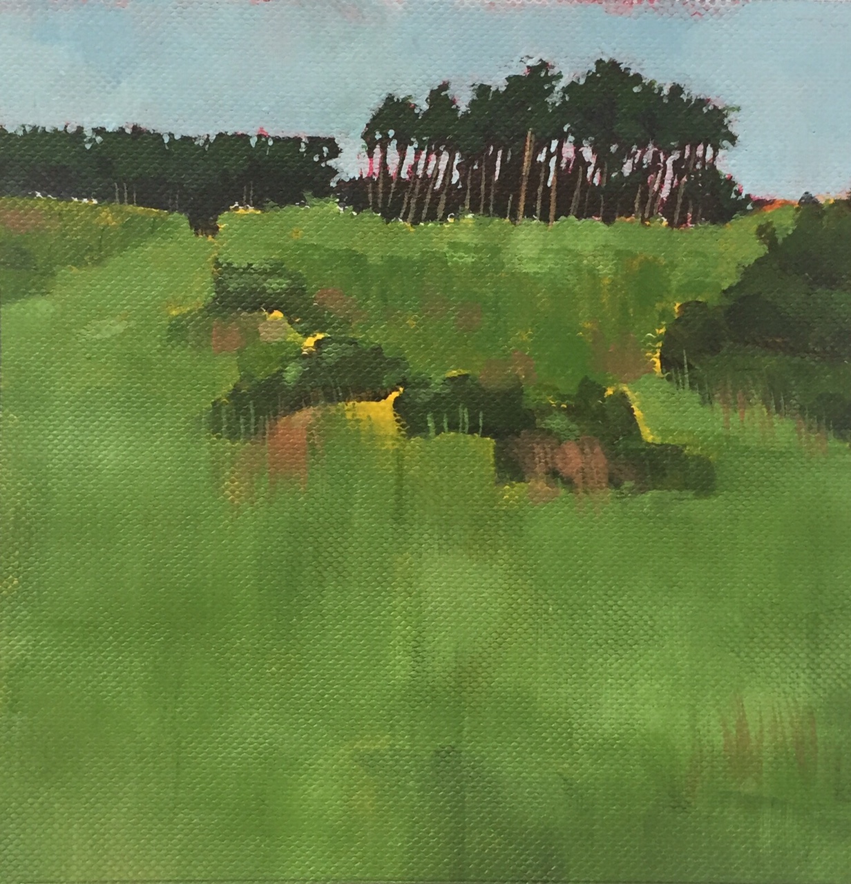distant trees