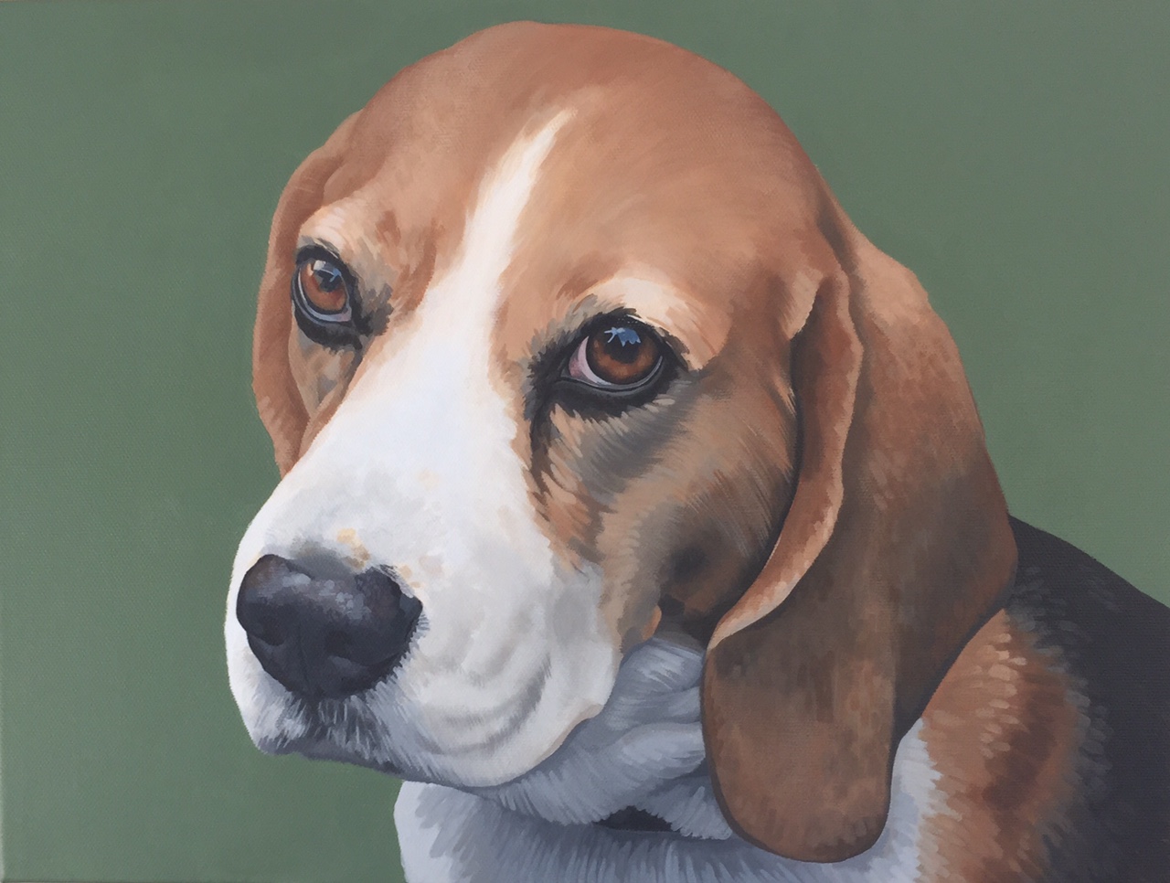 beagle  (sold)