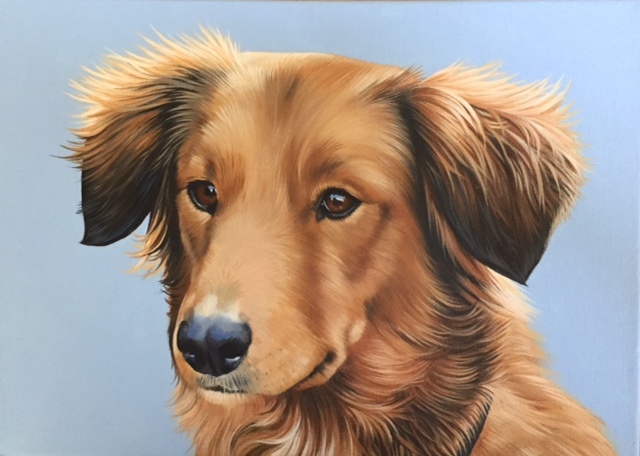 rescue dog  (sold)