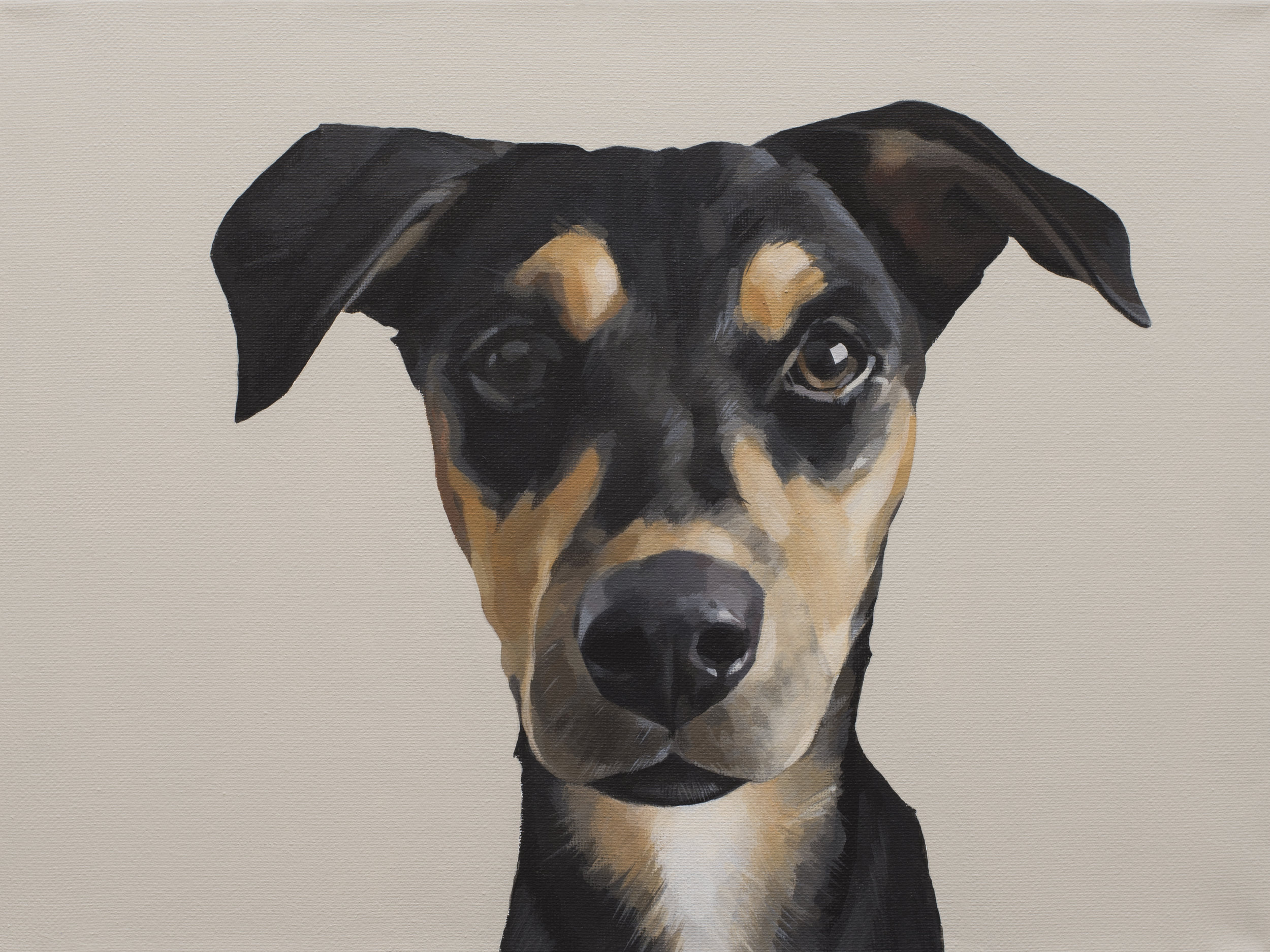 rescue dog  (sold)