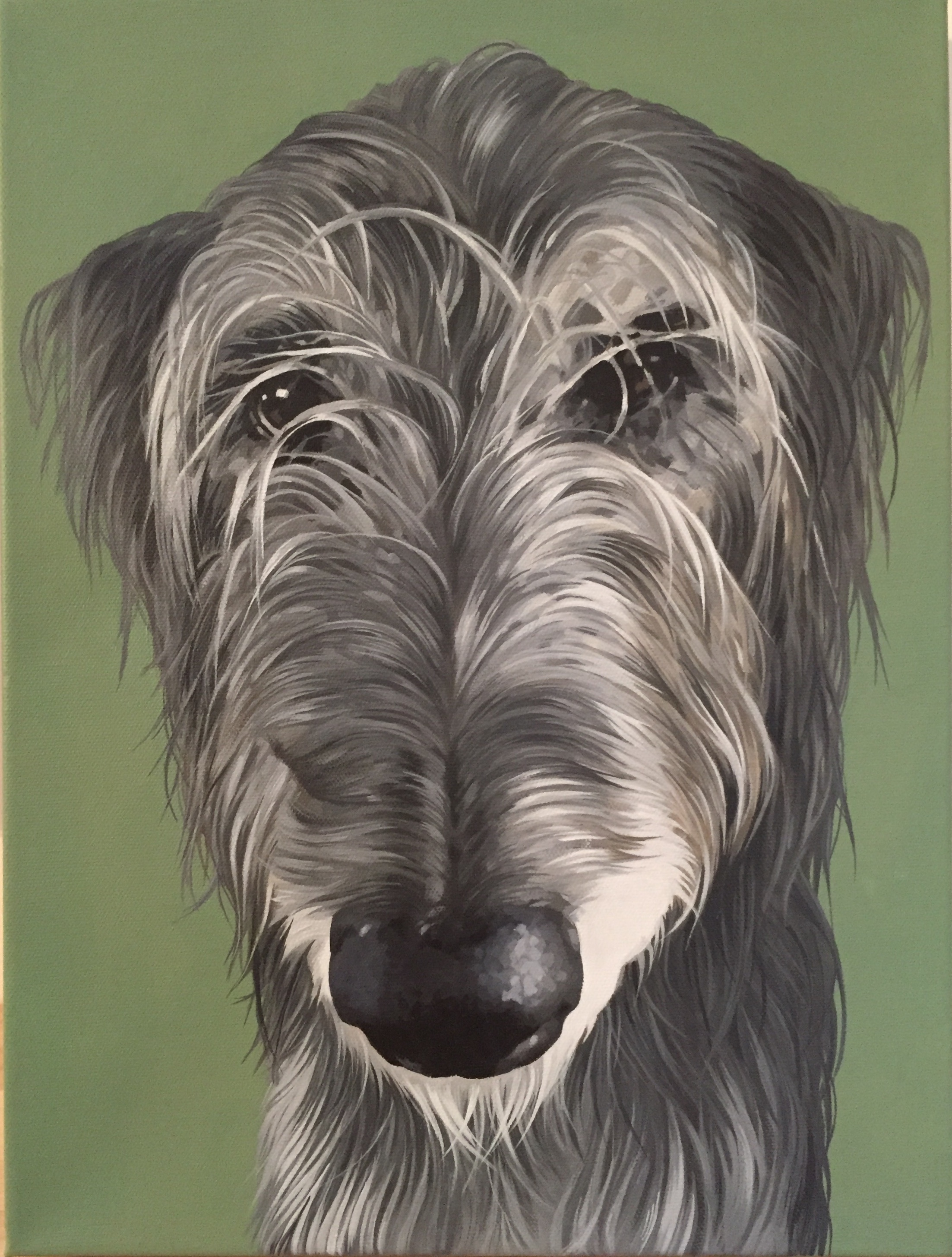 irish wolfhound  (sold)