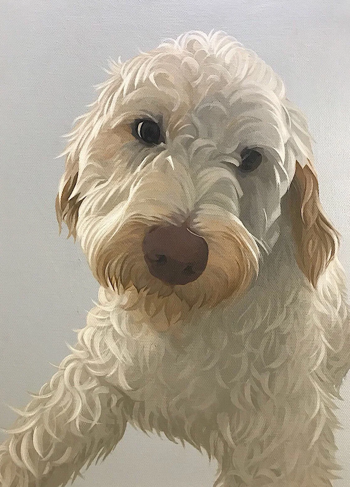 poodle cross