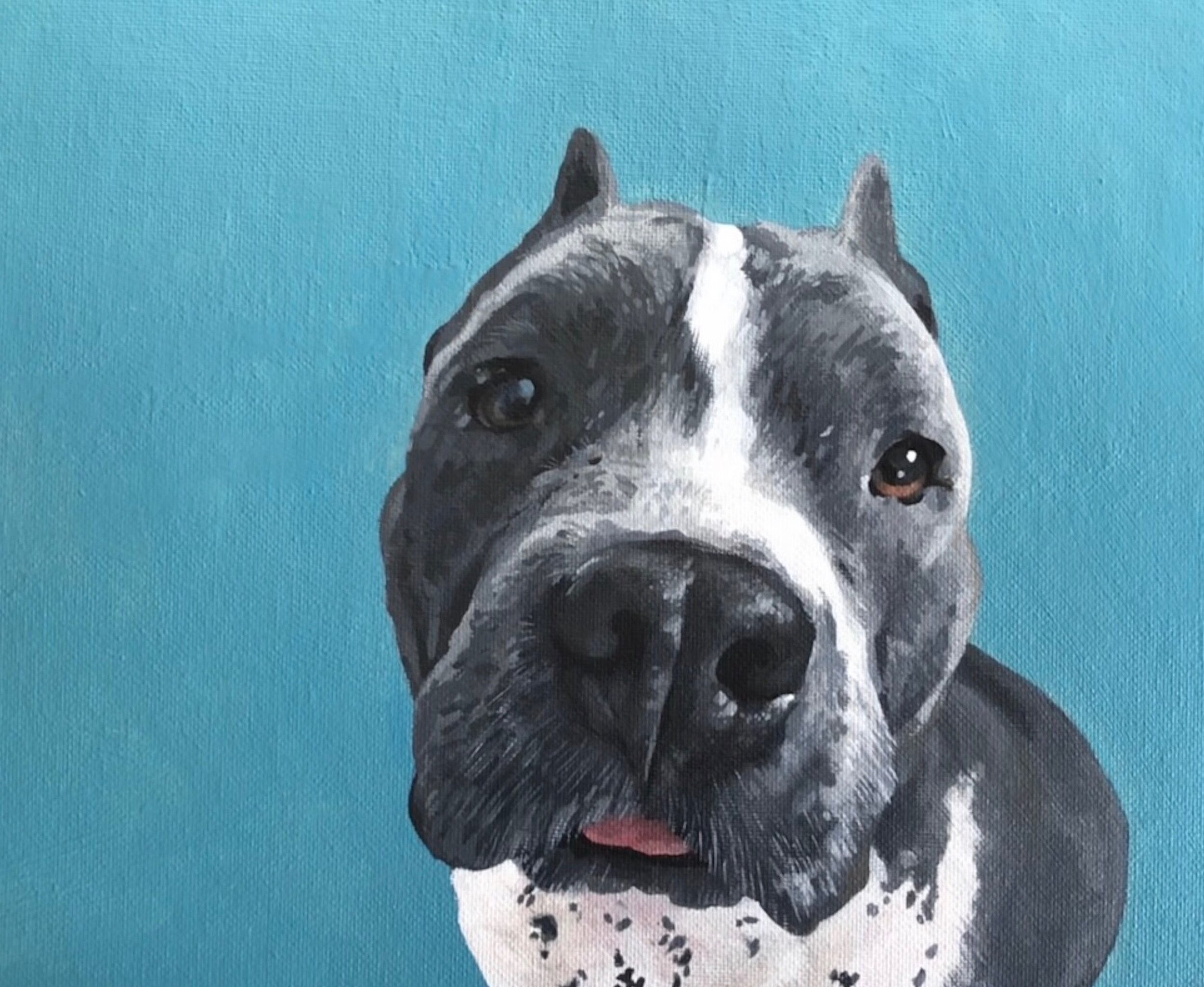 rescue dog  (sold)