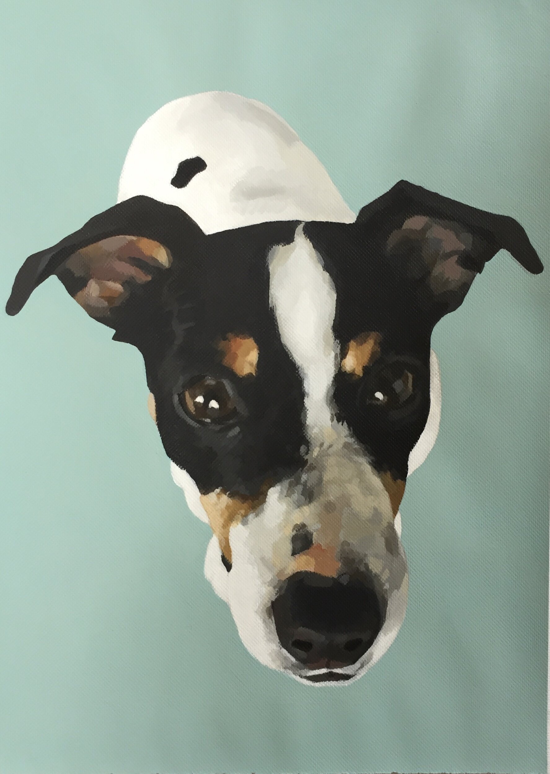 jack russell  (sold)