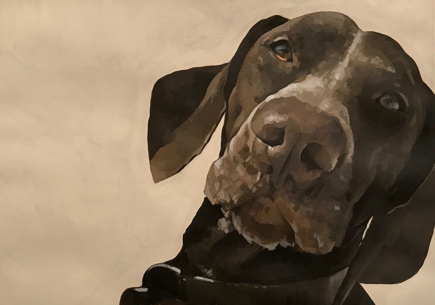 english pointer  (sold)