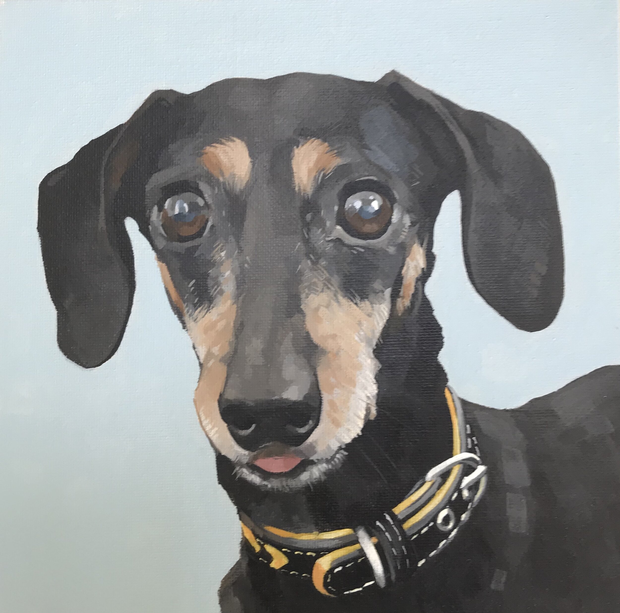 Dachshund (sold)