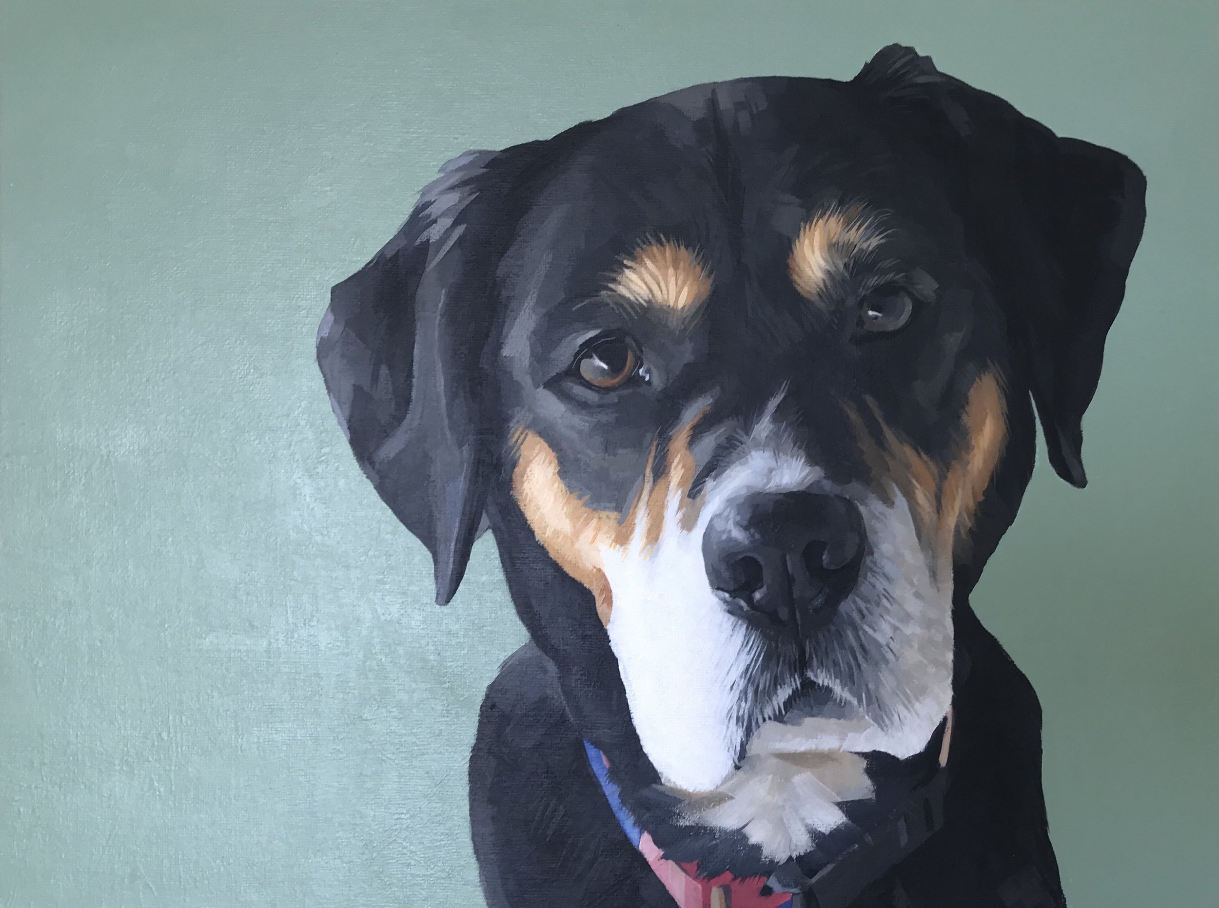 Rescue dog ( sold)