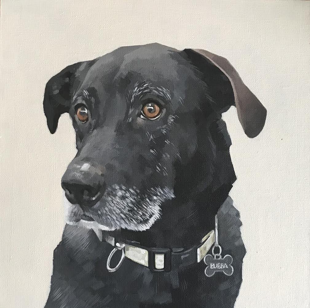 Labrador (sold)