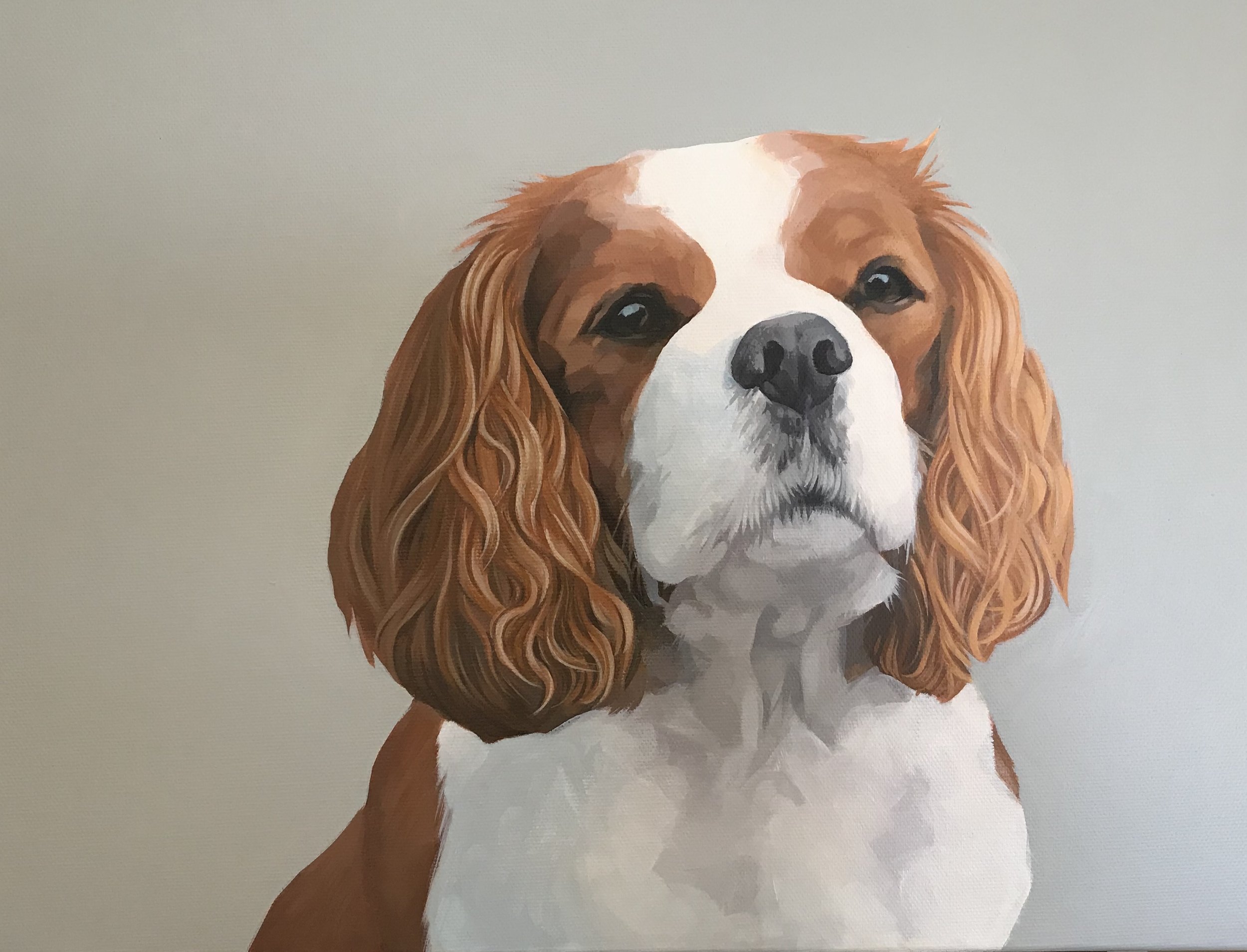 King Charles (sold)
