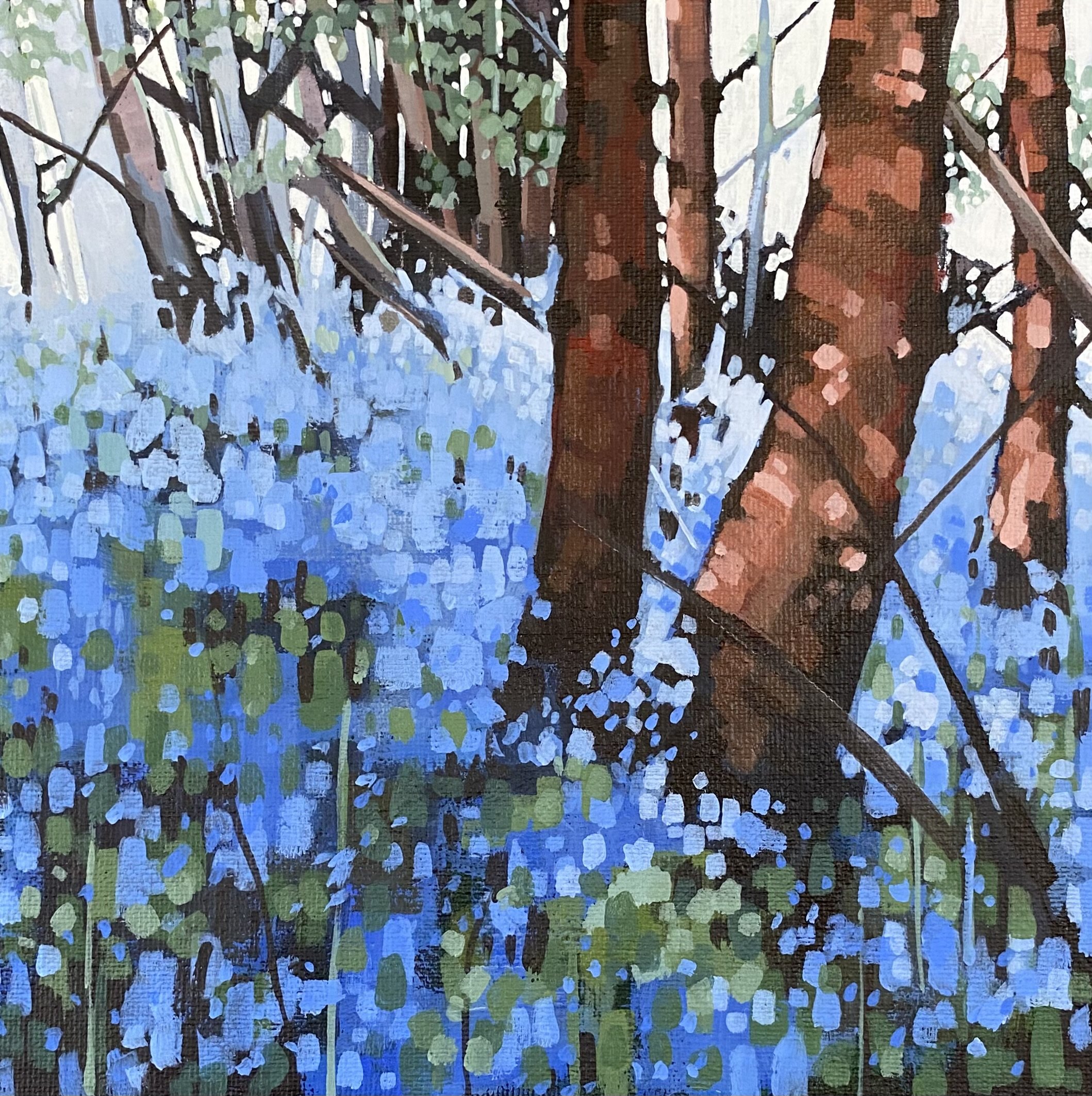 Bluebells