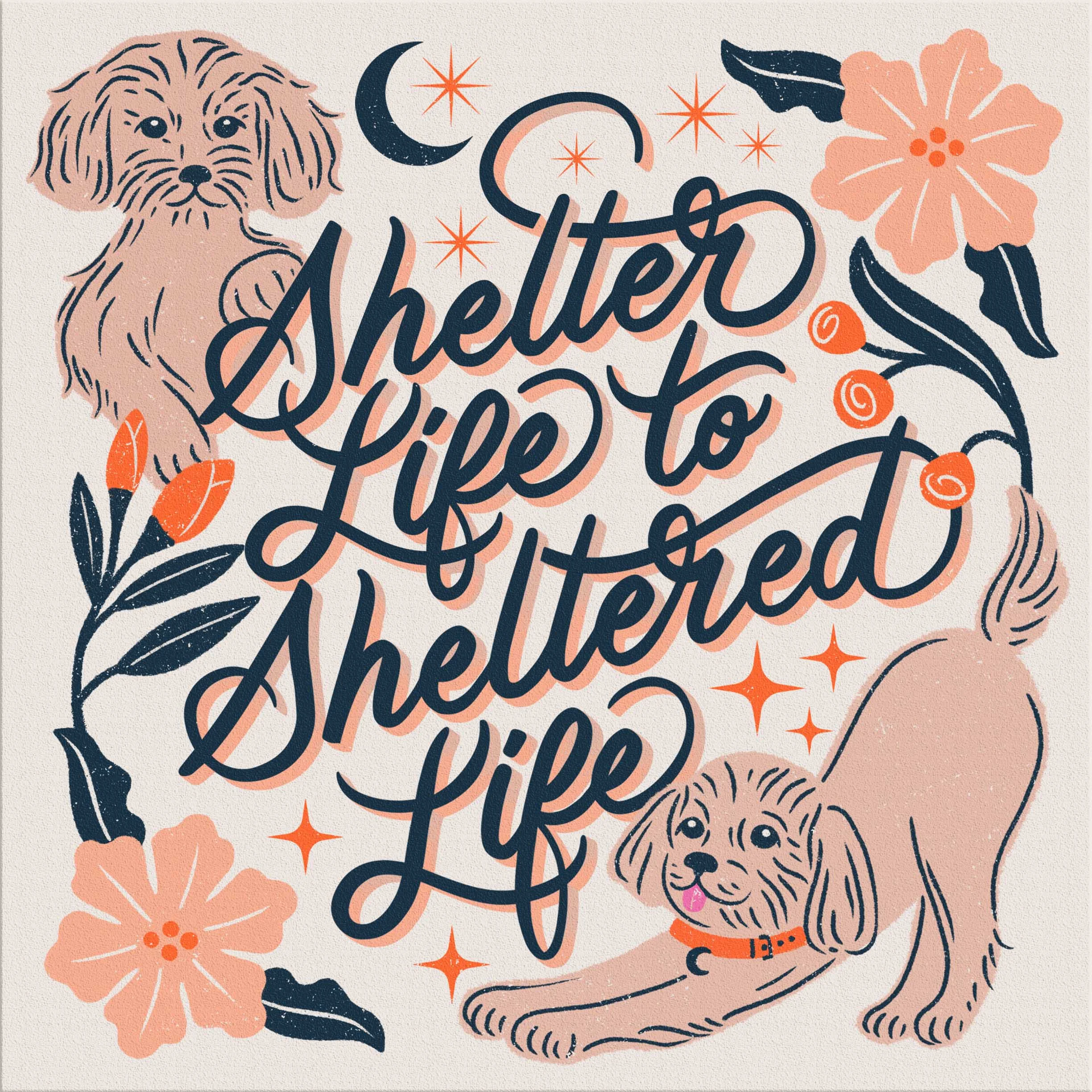 SHELTER LIFE TO SHELTERED LIFE