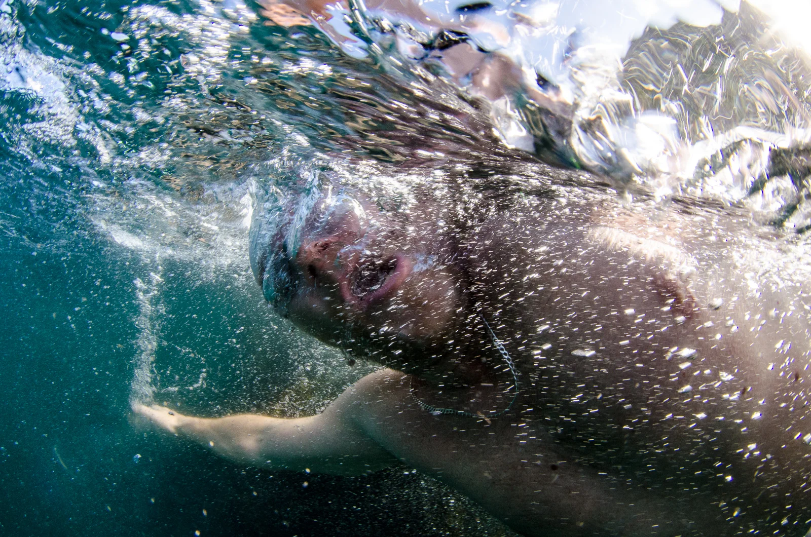 Swimming around Cape Point