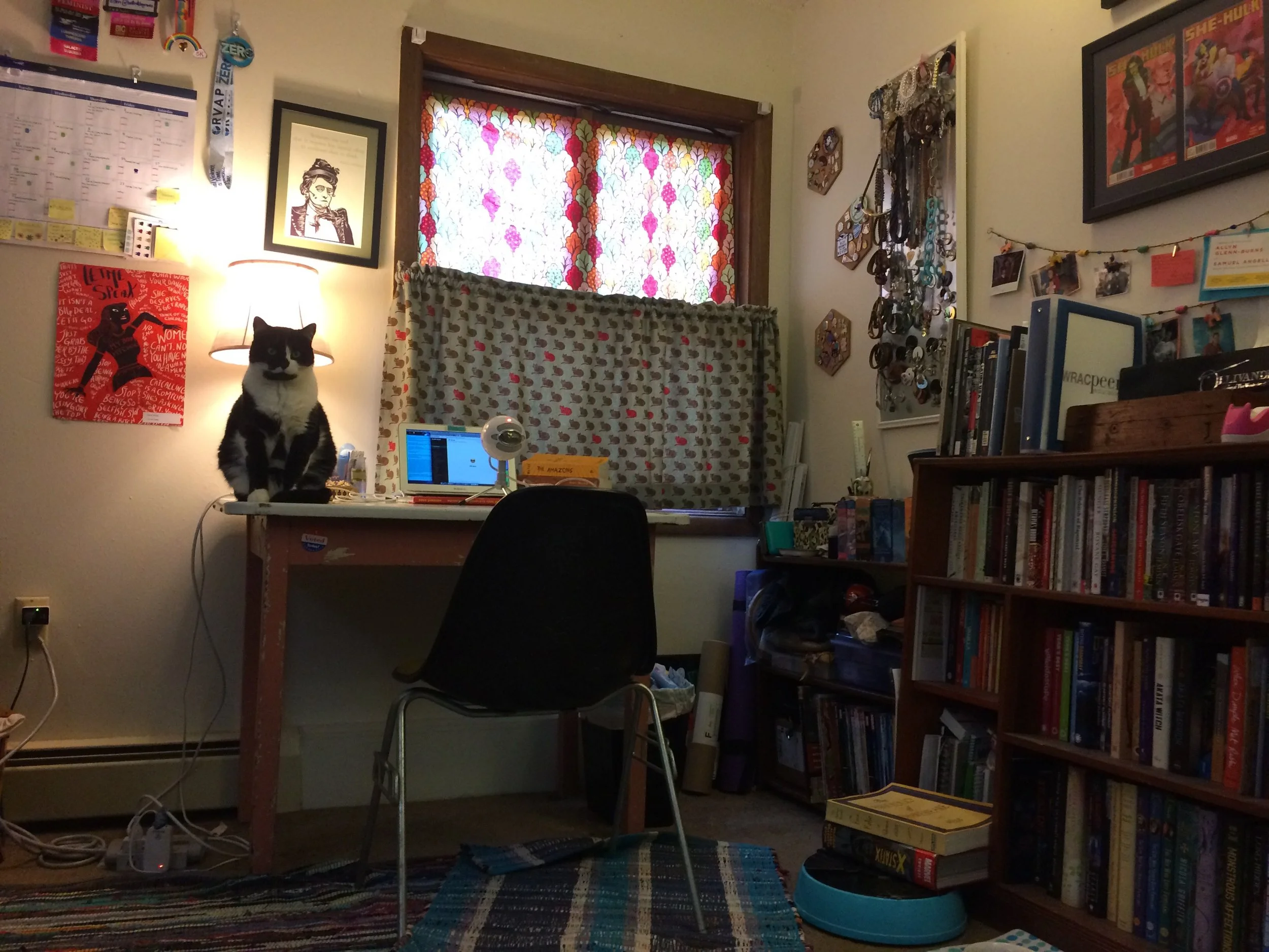 My studio, minus the artist. Featuring Fiona in her typical spot. I curate this space over the past three years to be cozy, comfortable, and full of feminist art, writing, and inspiration. The curtains were made by my mother, an artist in her own right. While the cheerful curtains serve the purpose of helping with sound quality they were originally created due to Borbie destroying the blinds like a true cat.