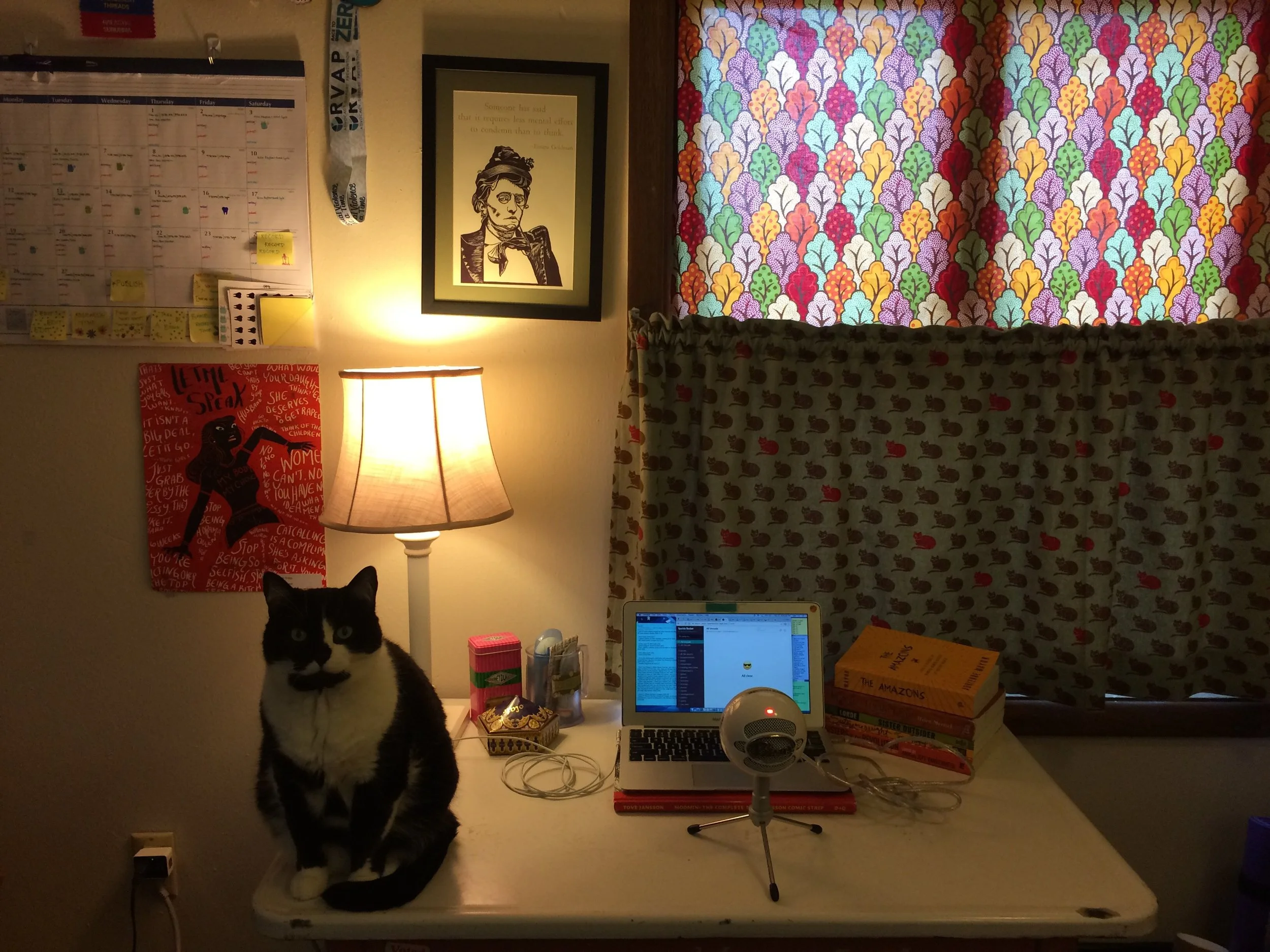 A closer look at the studio (still featuring Fiona who due to her proximity and chattiness during recording is often credited as contributor and guest editor). This is a better view of what I see while setting up to record a podcast episode.