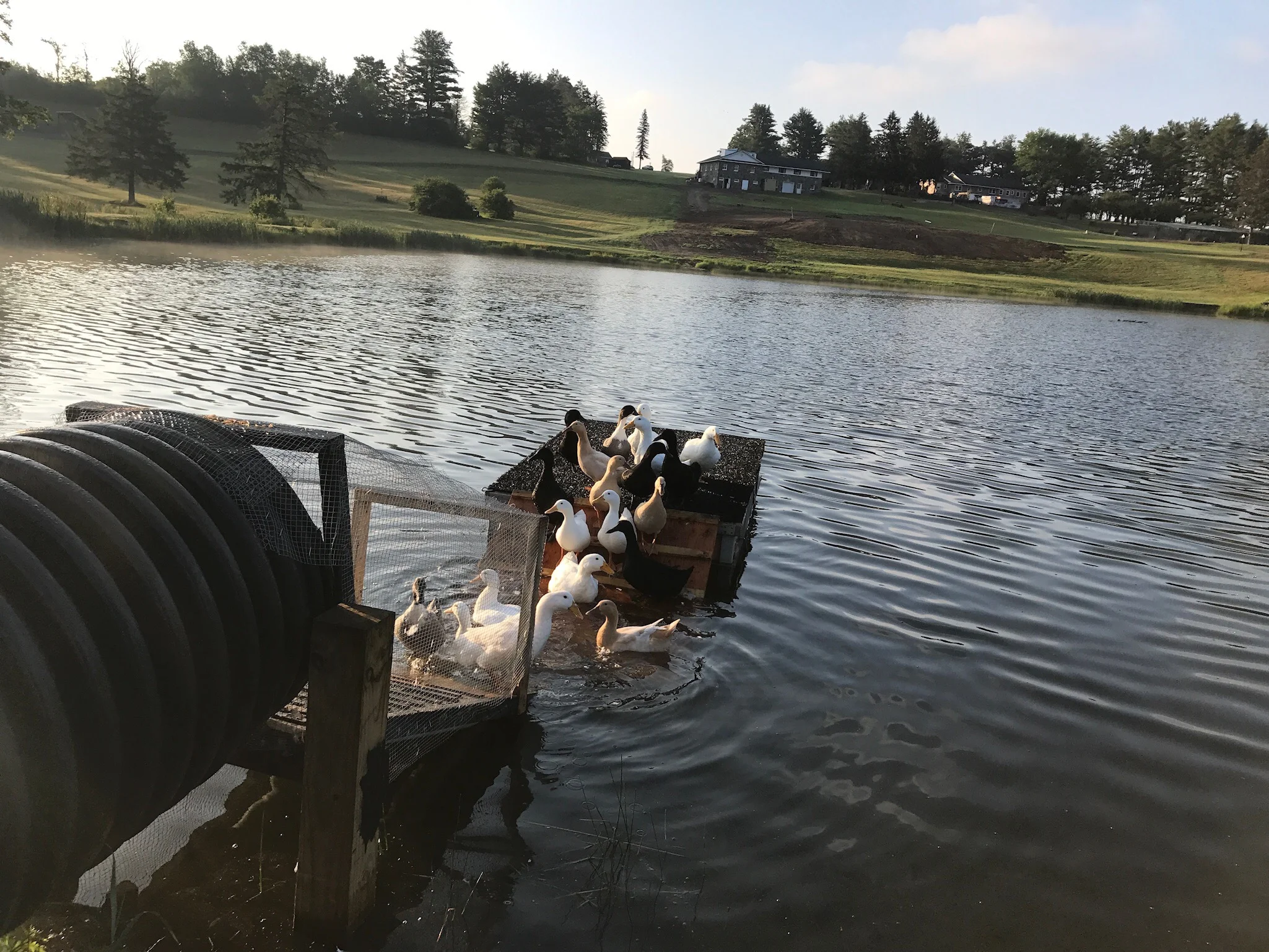 Copy of IMG_2131.JPG