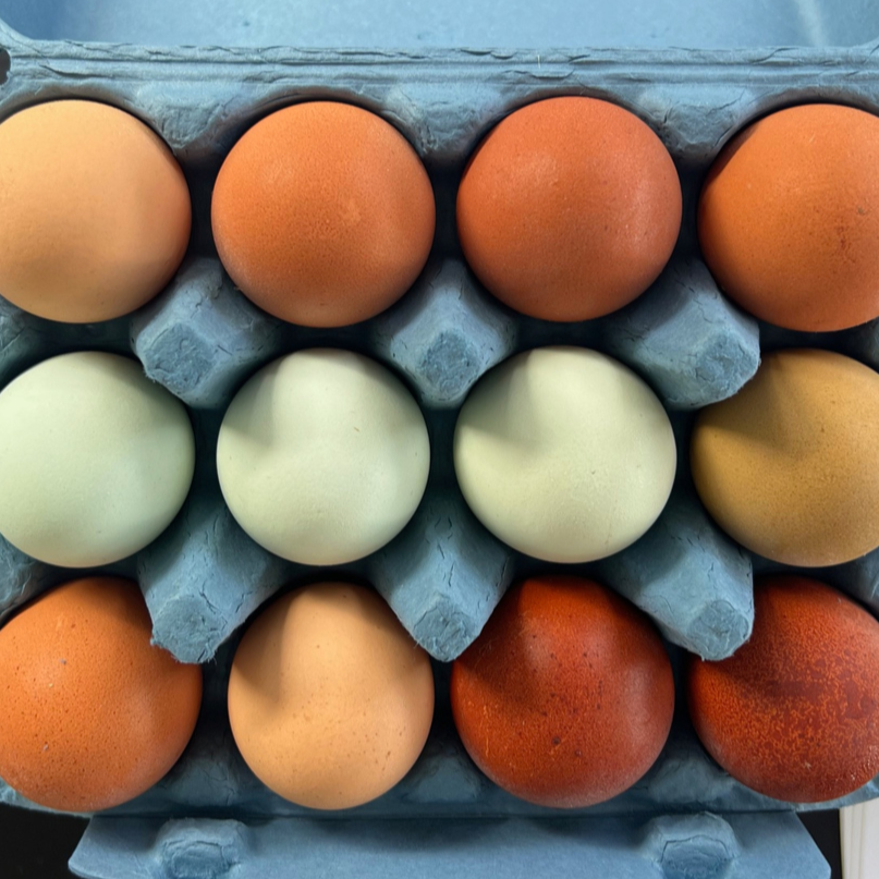 eggs website.png