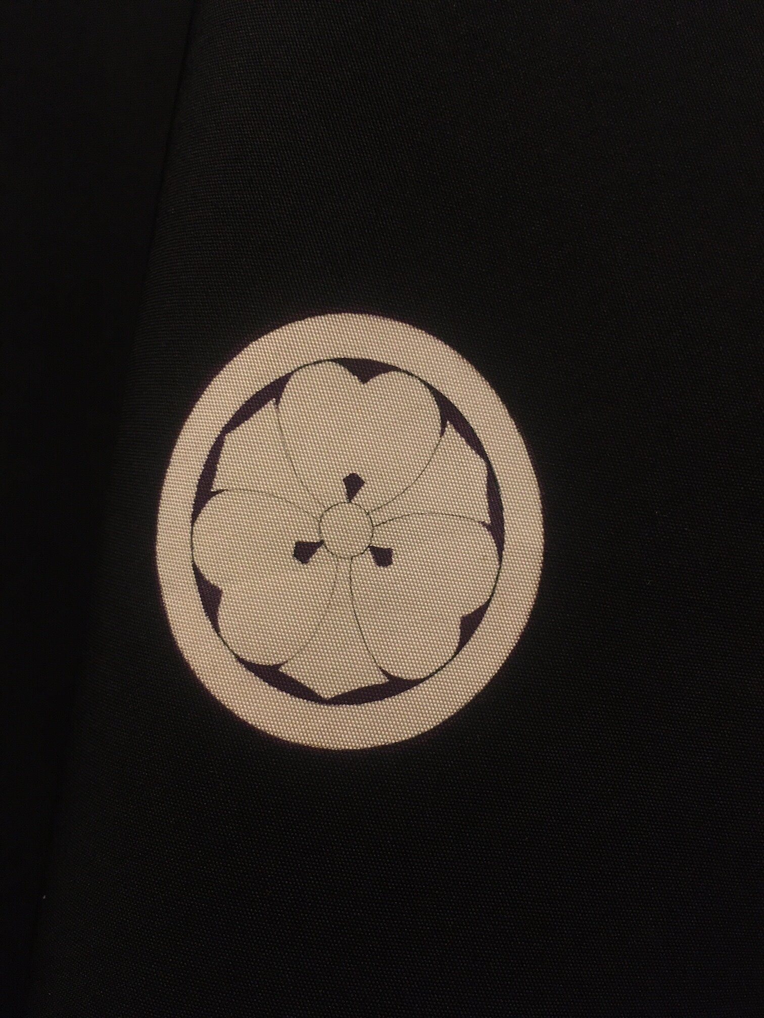image7.jpeg