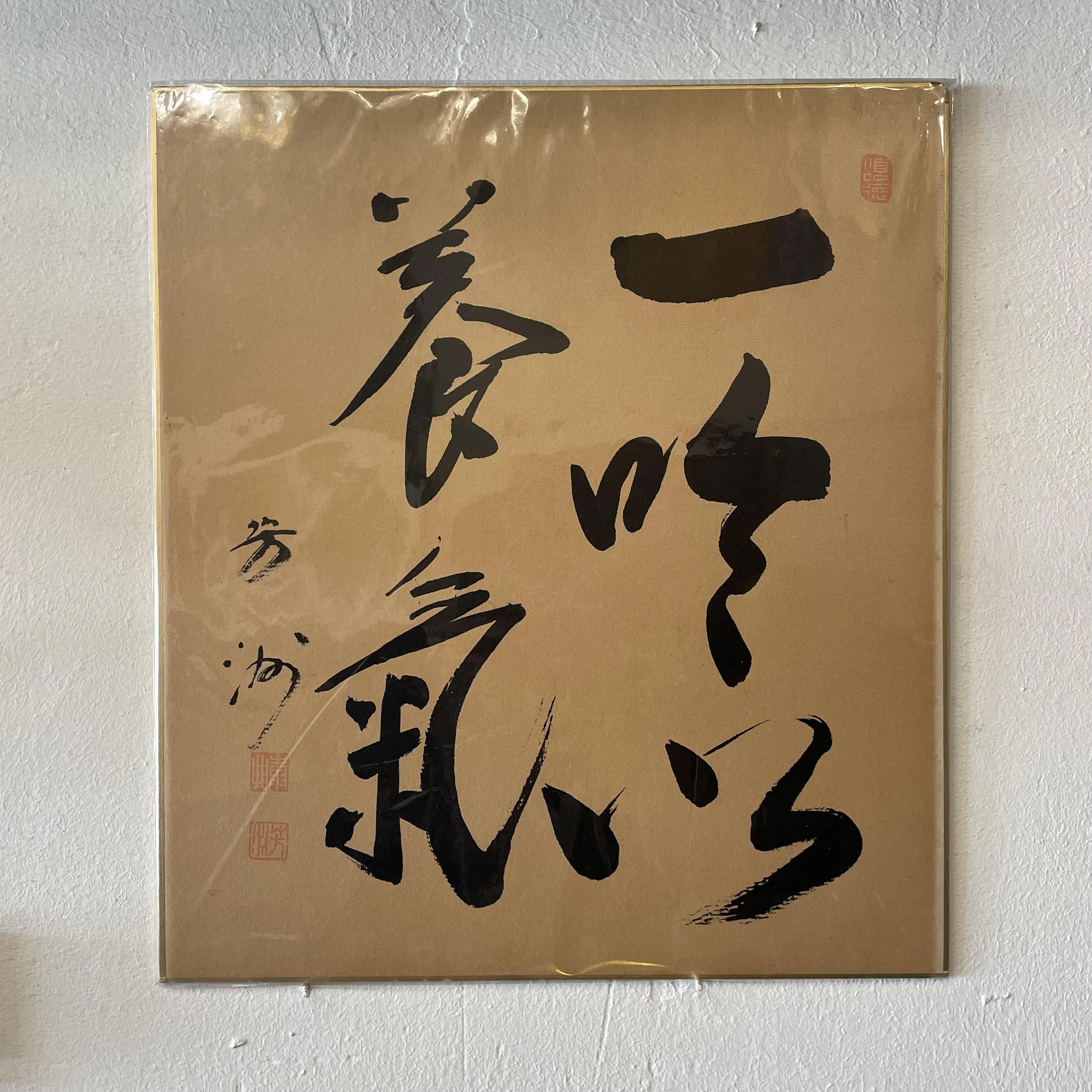 Yoki Shikishi
