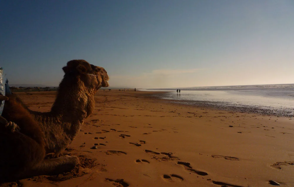 Sidi-Kaouki-1.jpg