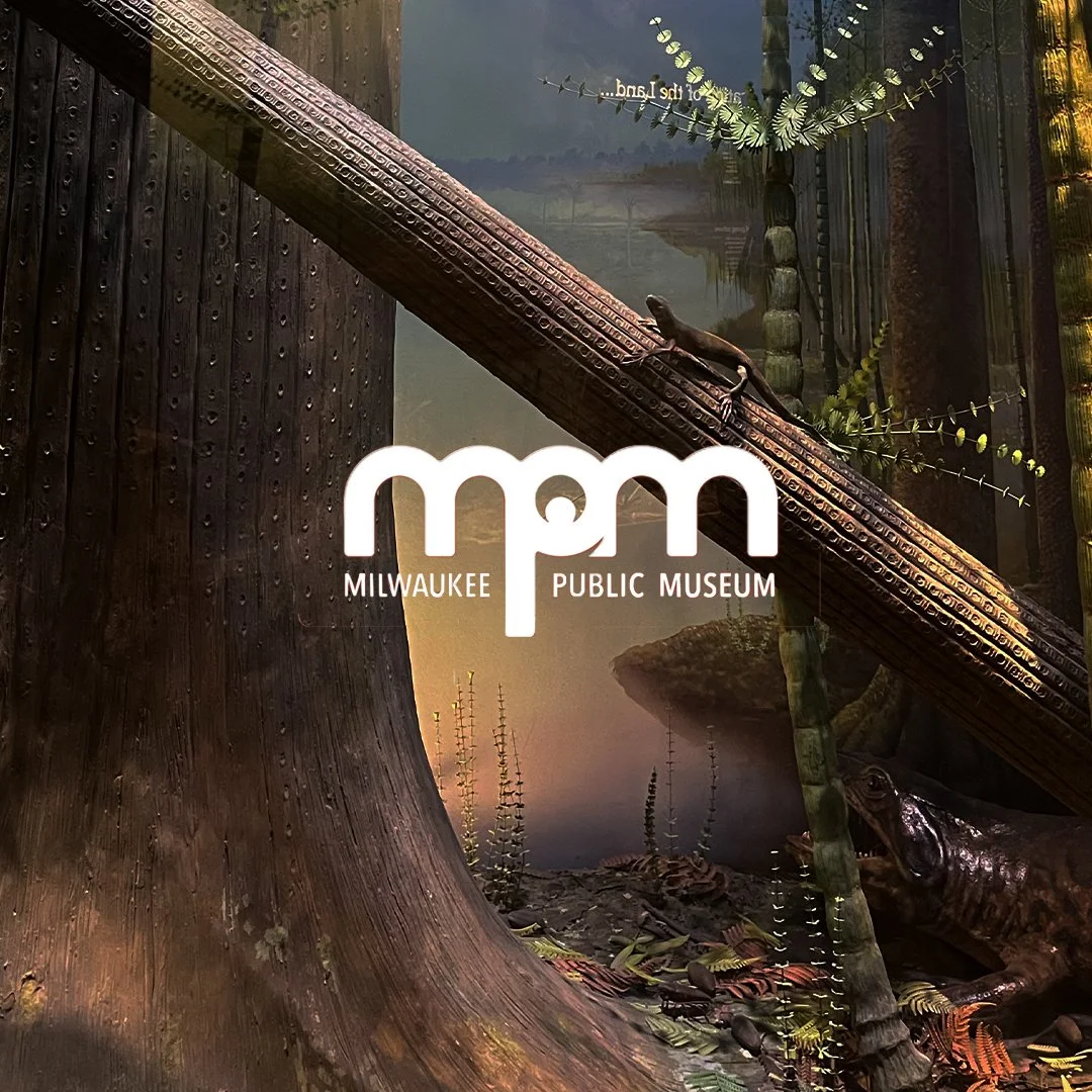 MPMCover.jpg